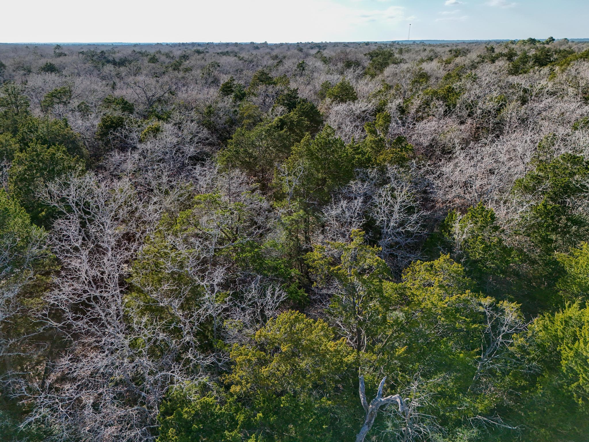 Lot 15 Antioch Rd Property Photo 23