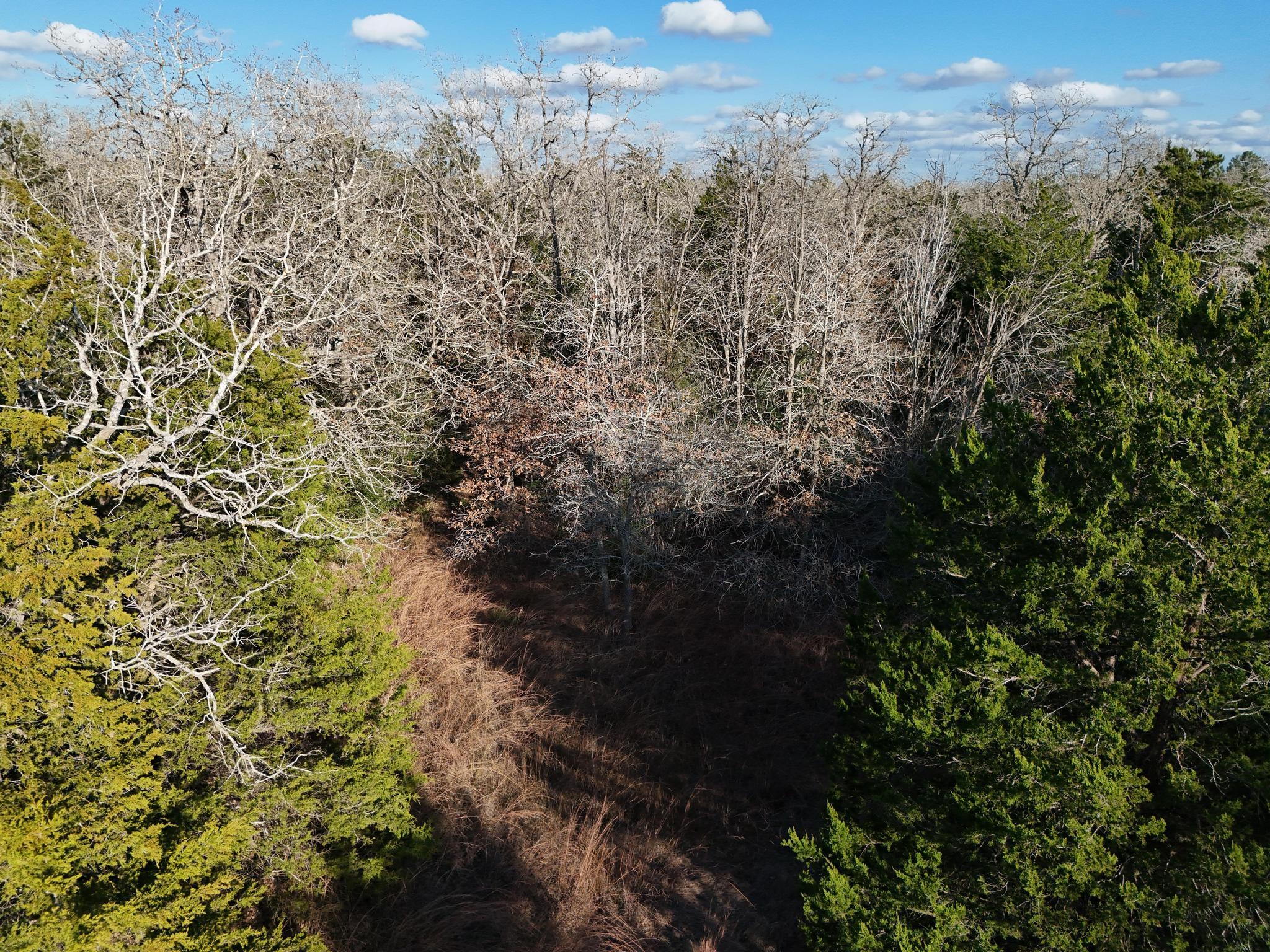 Lot 15 Antioch Rd Property Photo 24