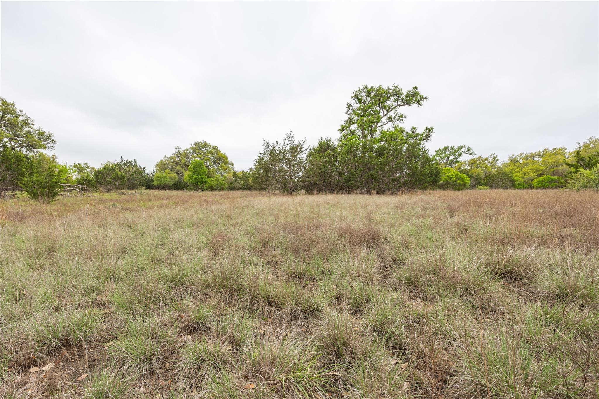 Tbd Logan's Way Property Photo 4