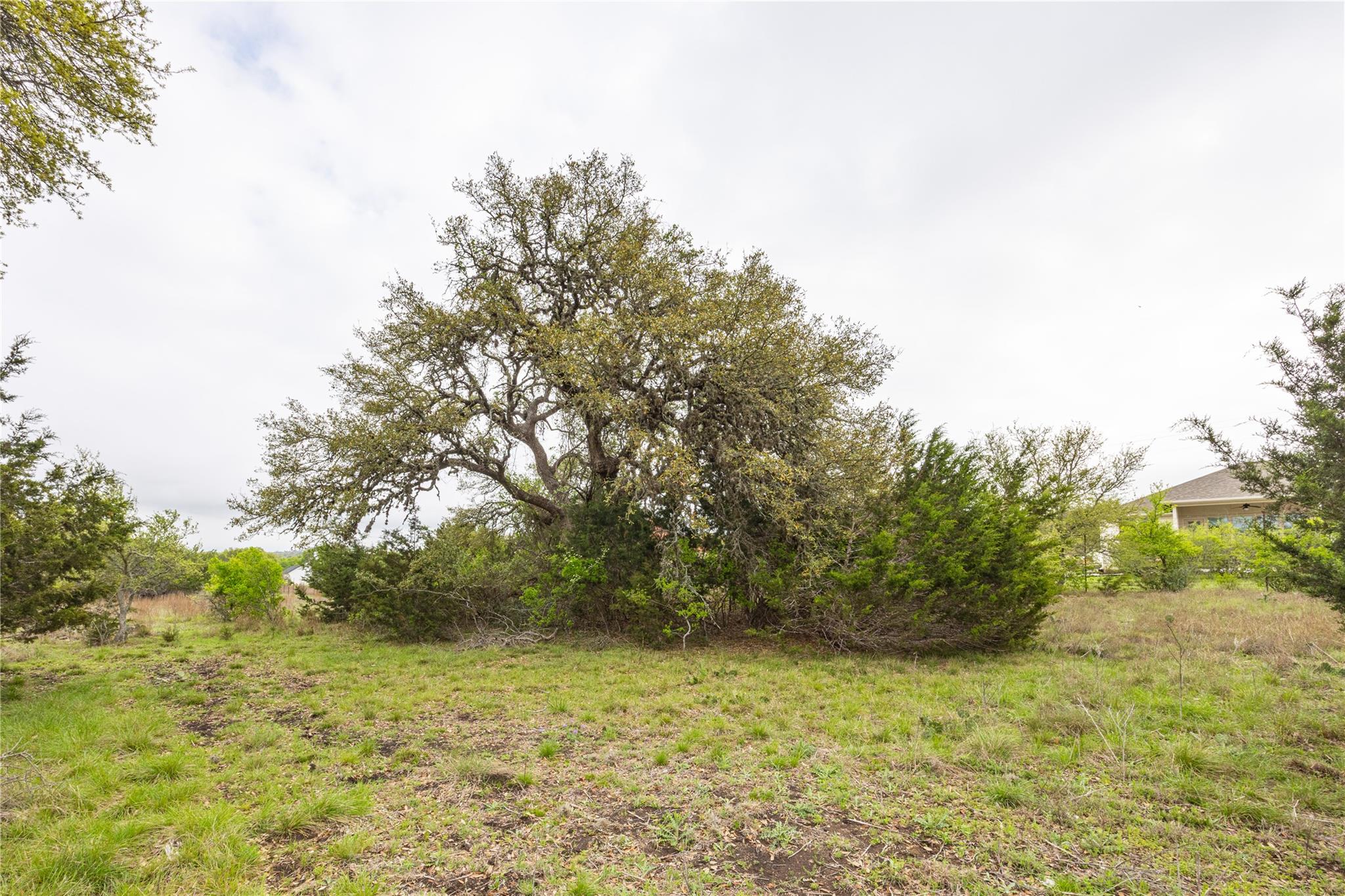 Tbd Logan's Way Property Photo 6