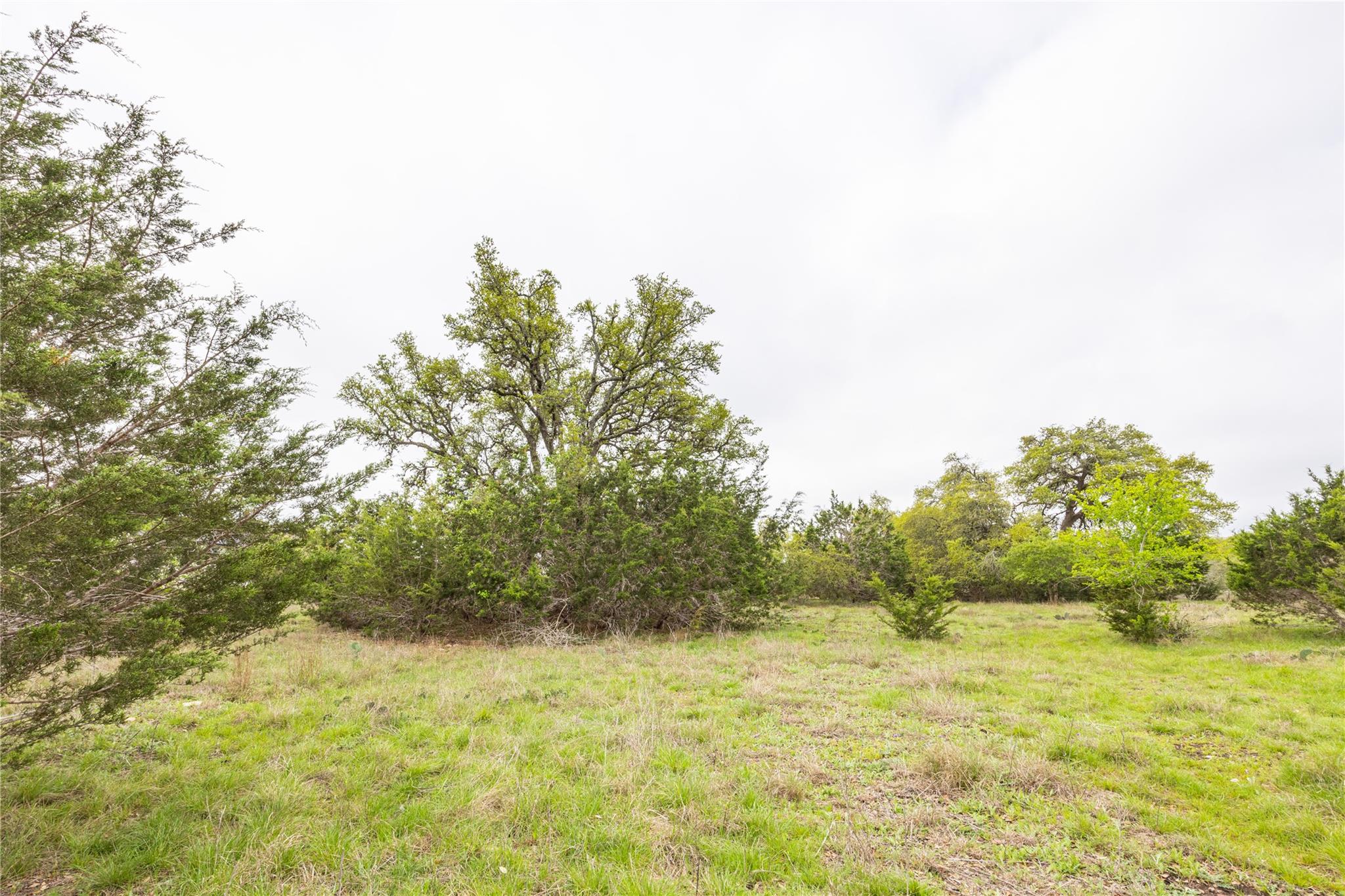 Tbd Logan's Way Property Photo 7