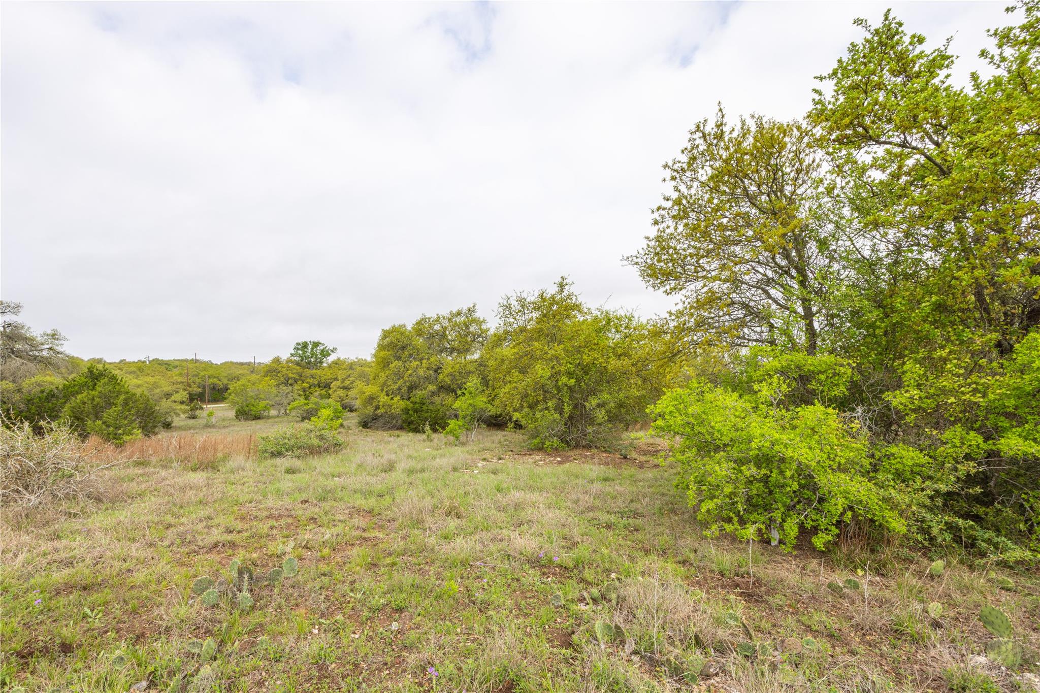 Tbd Logan's Way Property Photo 10