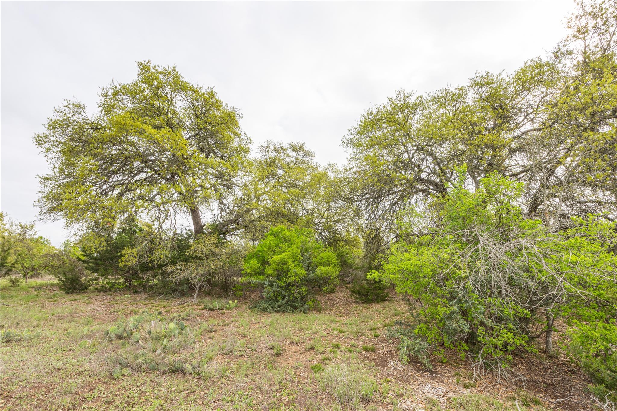Tbd Logan's Way Property Photo 14