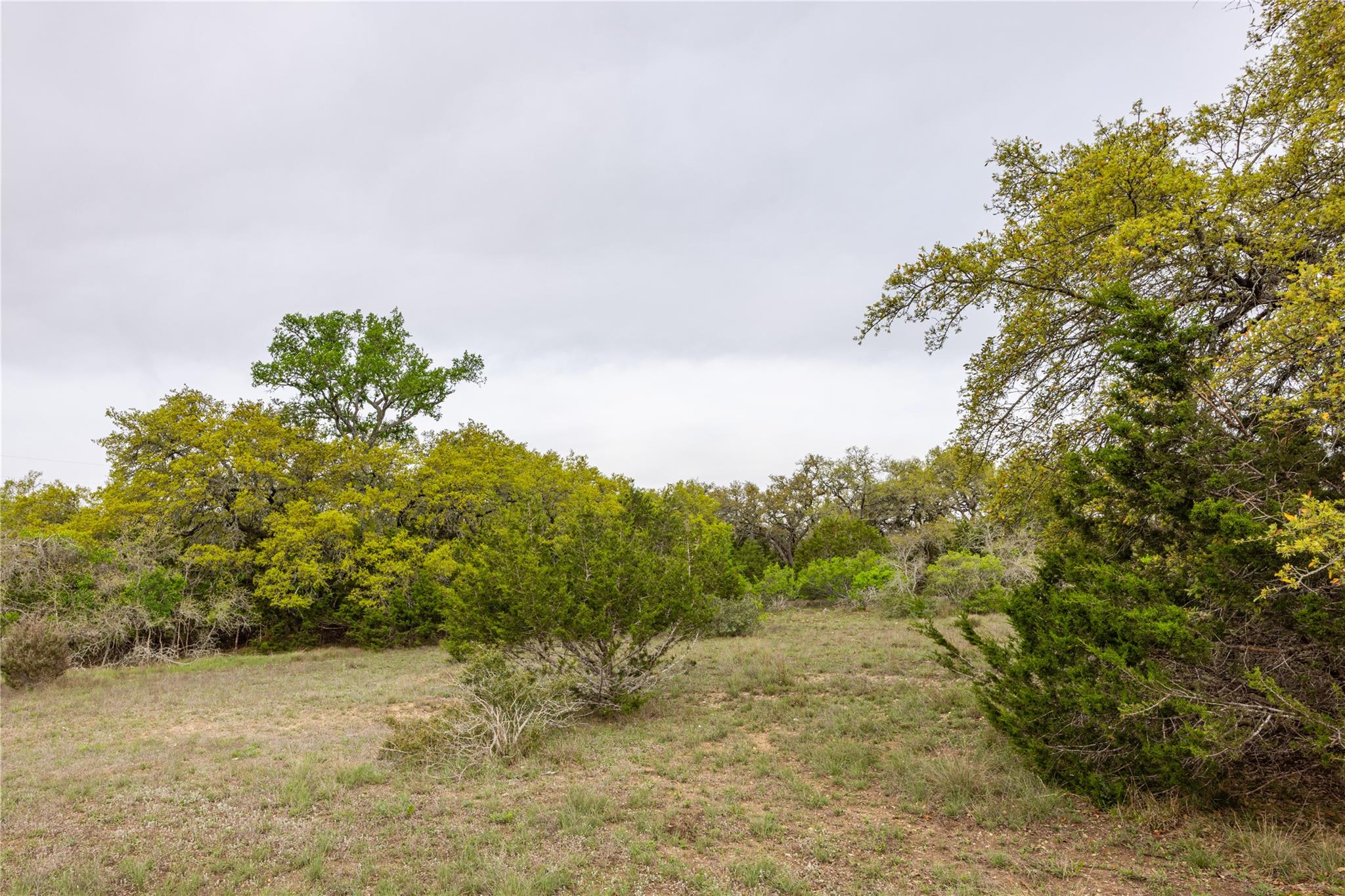 Tbd Logan's Way Property Photo 15