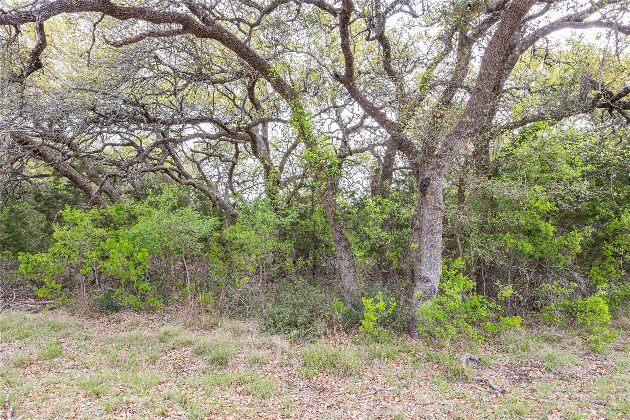 Tbd Logan's Way Property Photo 18