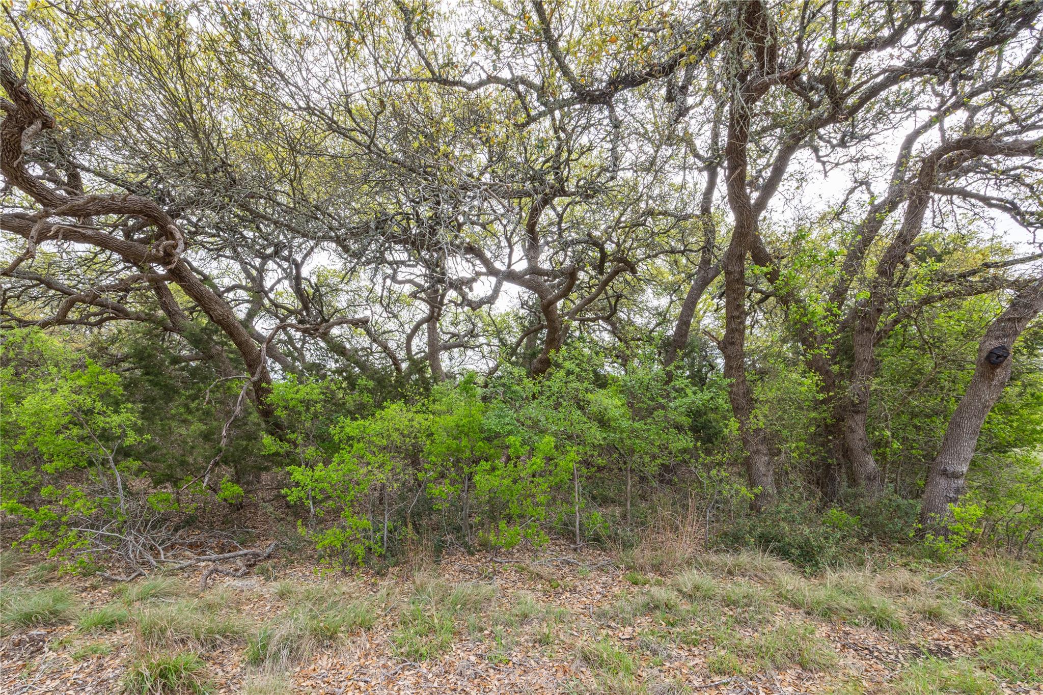 Tbd Logan's Way Property Photo 20