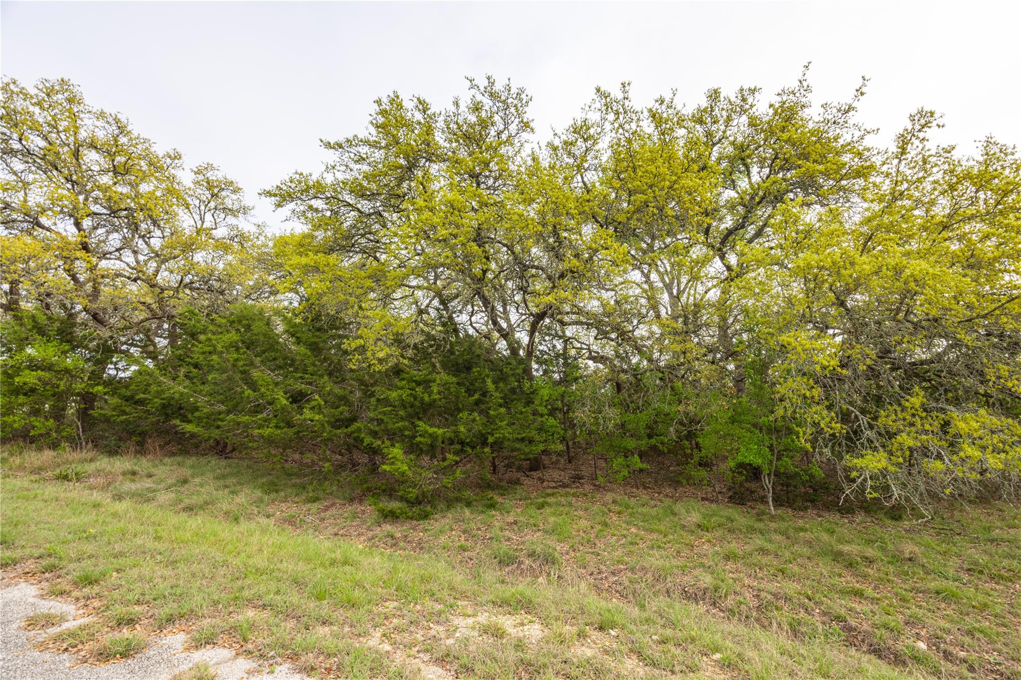 Tbd Logan's Way Property Photo 22