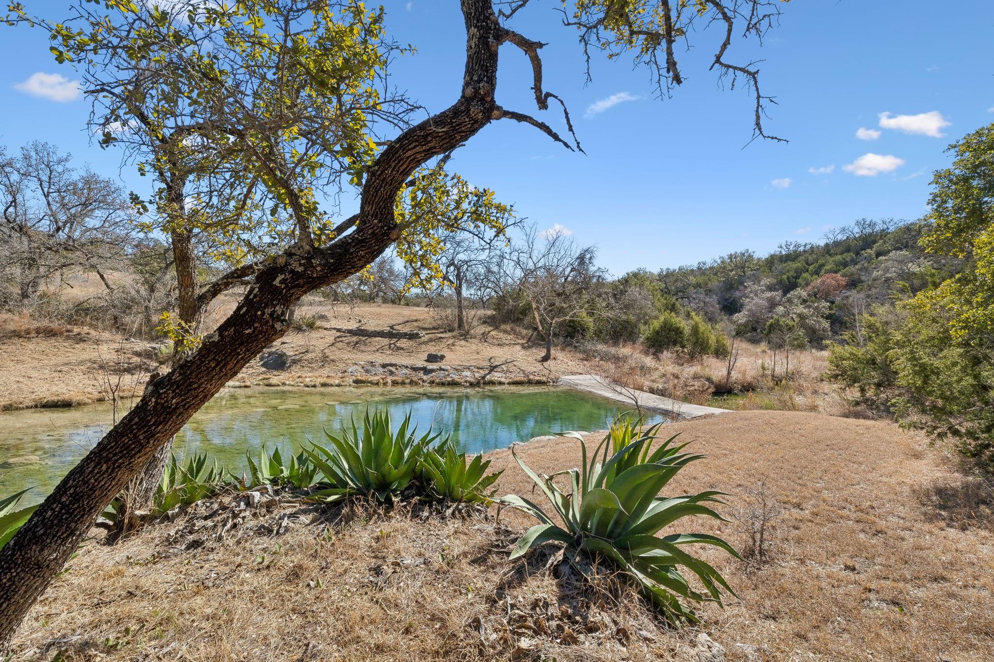 13131 E Fm 1431 Highway Property Photo 31