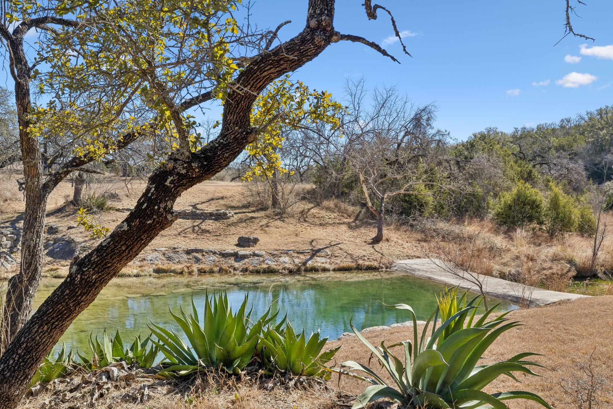 13131 E Fm 1431 Highway Property Photo 32