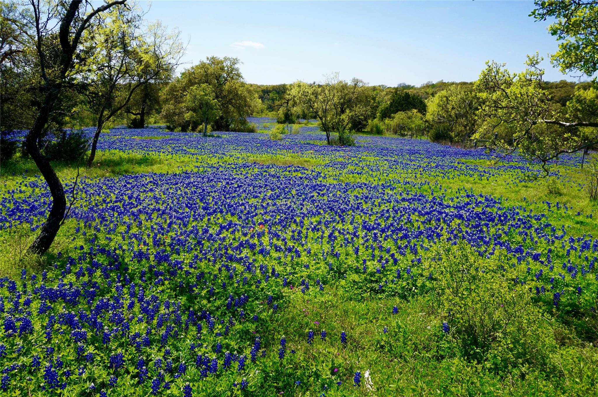 13131 E Fm 1431 Highway Property Photo 37