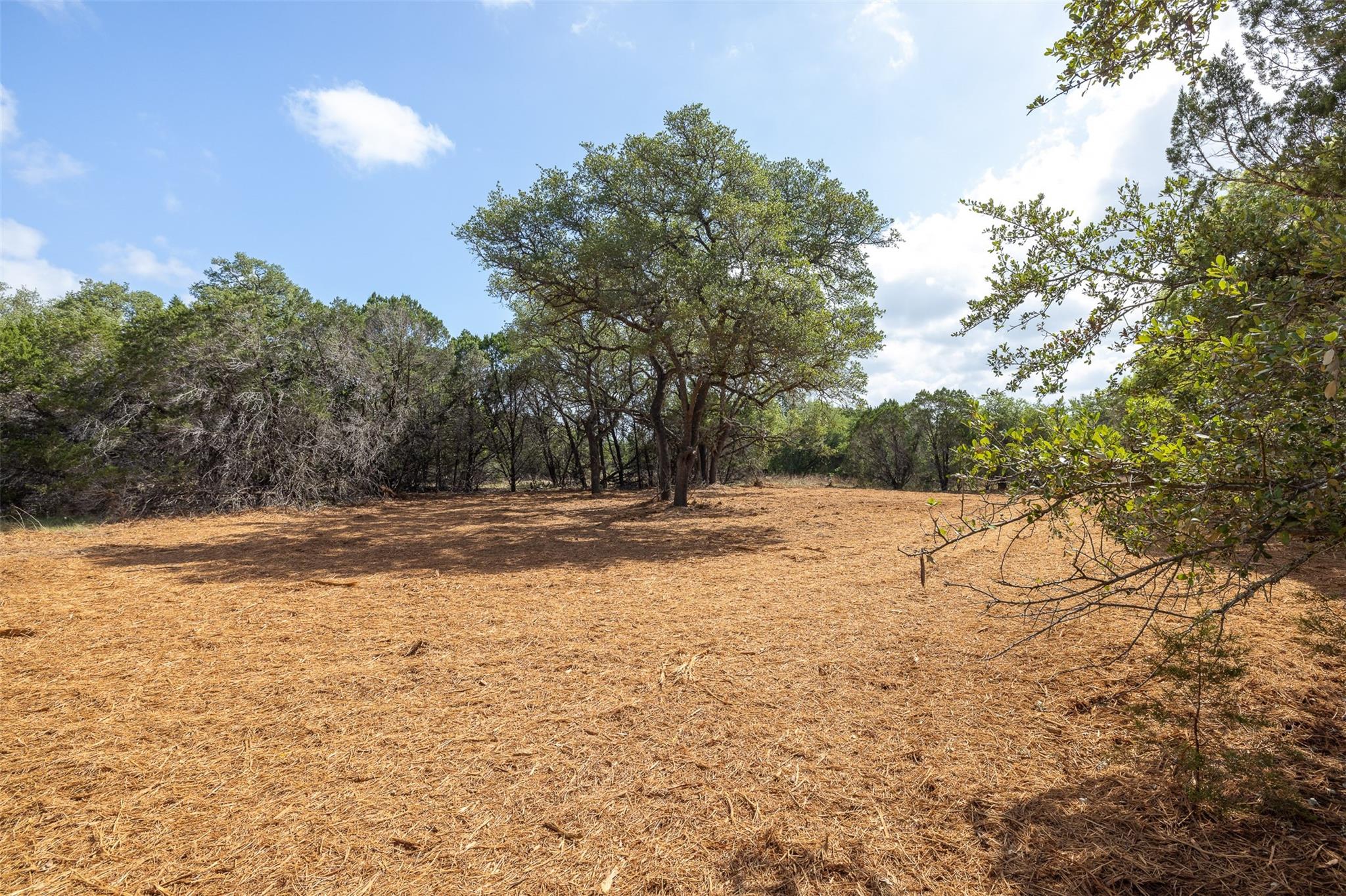 275 Deer Run None Property Photo 18