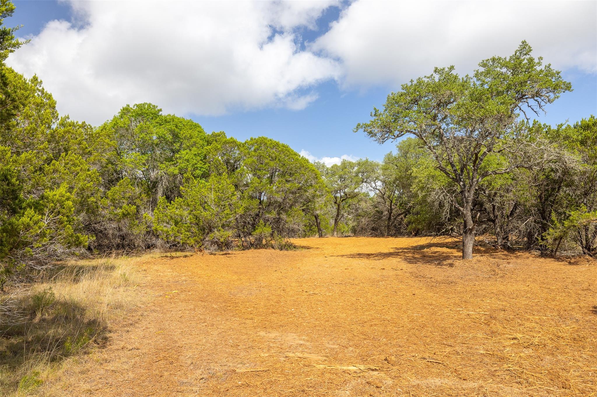 275 Deer Run None Property Photo 22