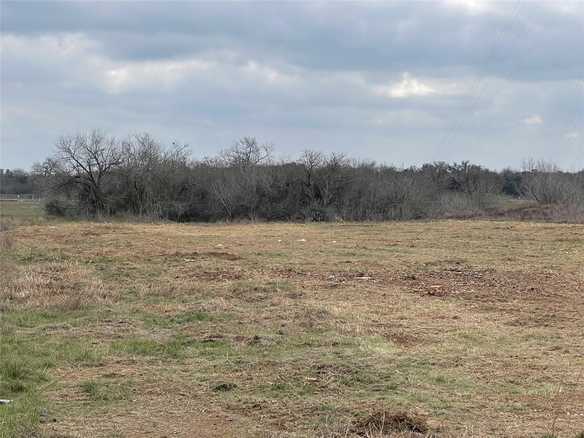 1703 Plant Rd Property Photo 5