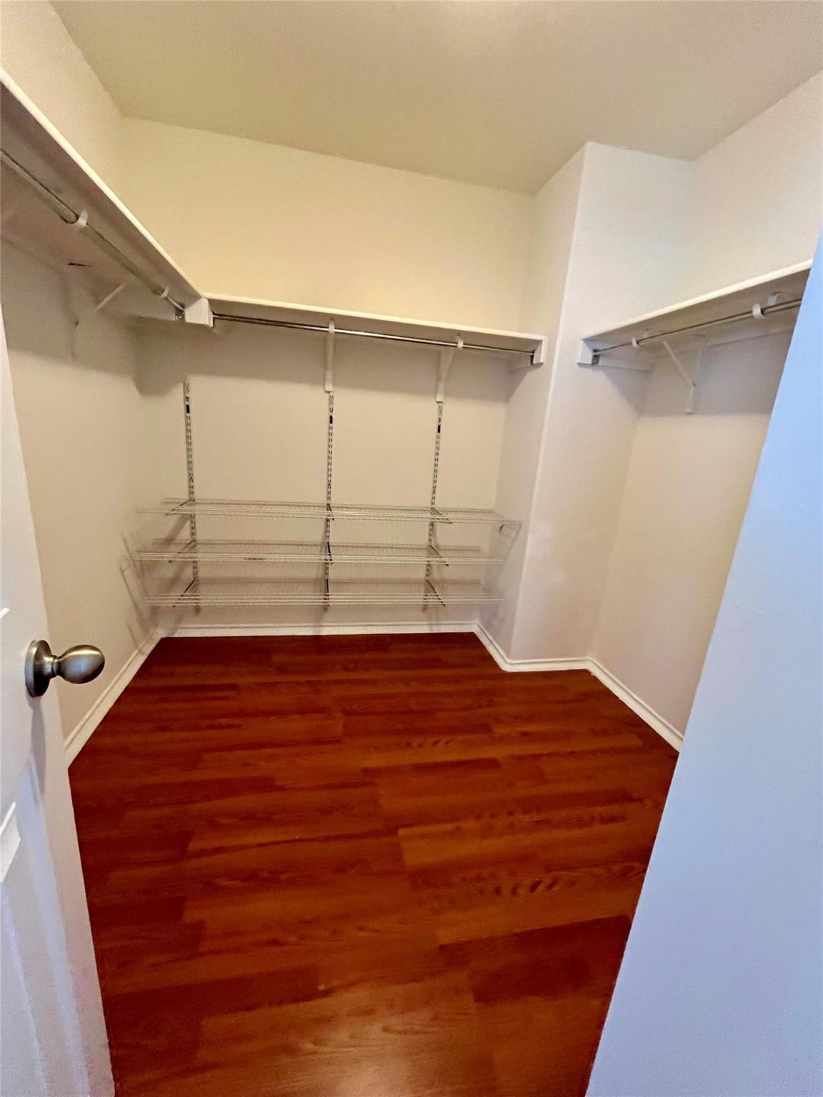 18305 Pencil Cactus Dr Property Photo 15
