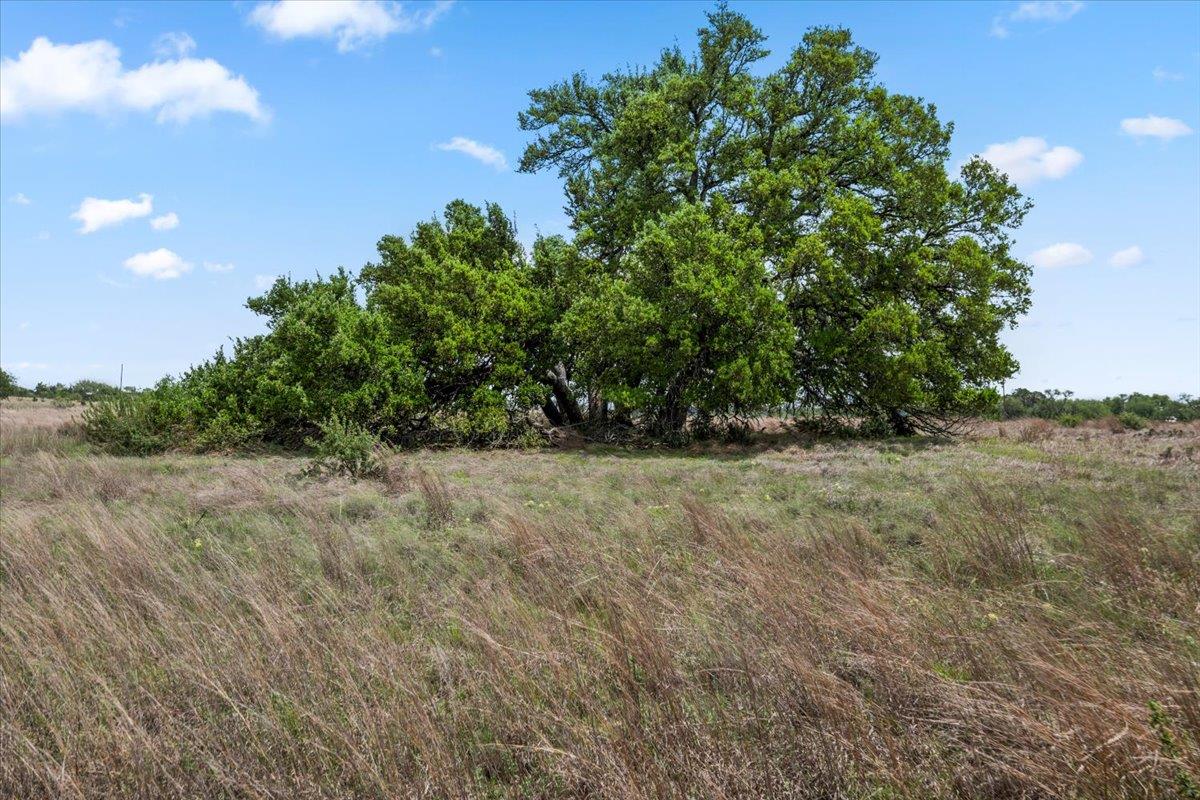 6594 W Hwy 290 None Property Photo 6