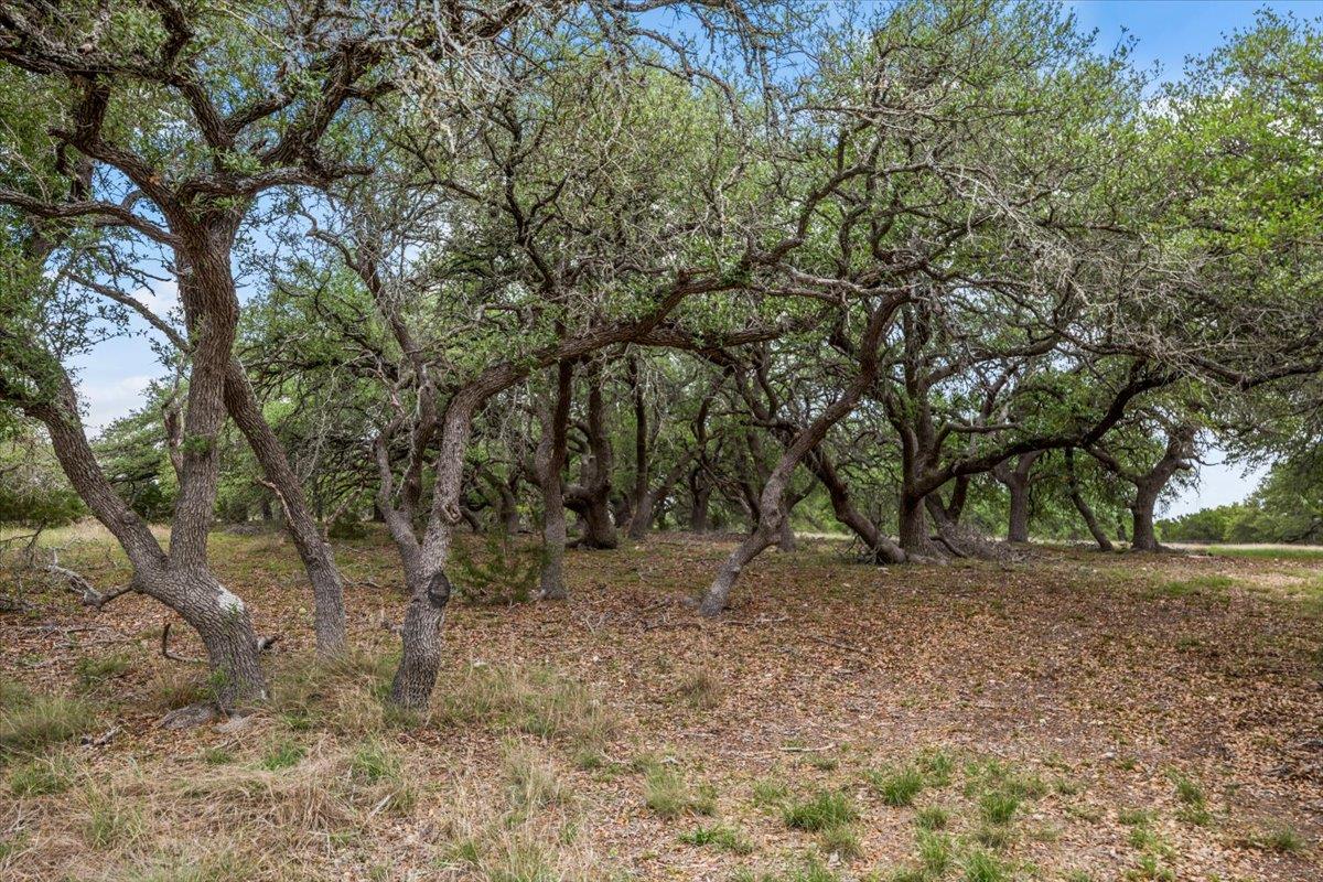 6594 W Hwy 290 None Property Photo 9