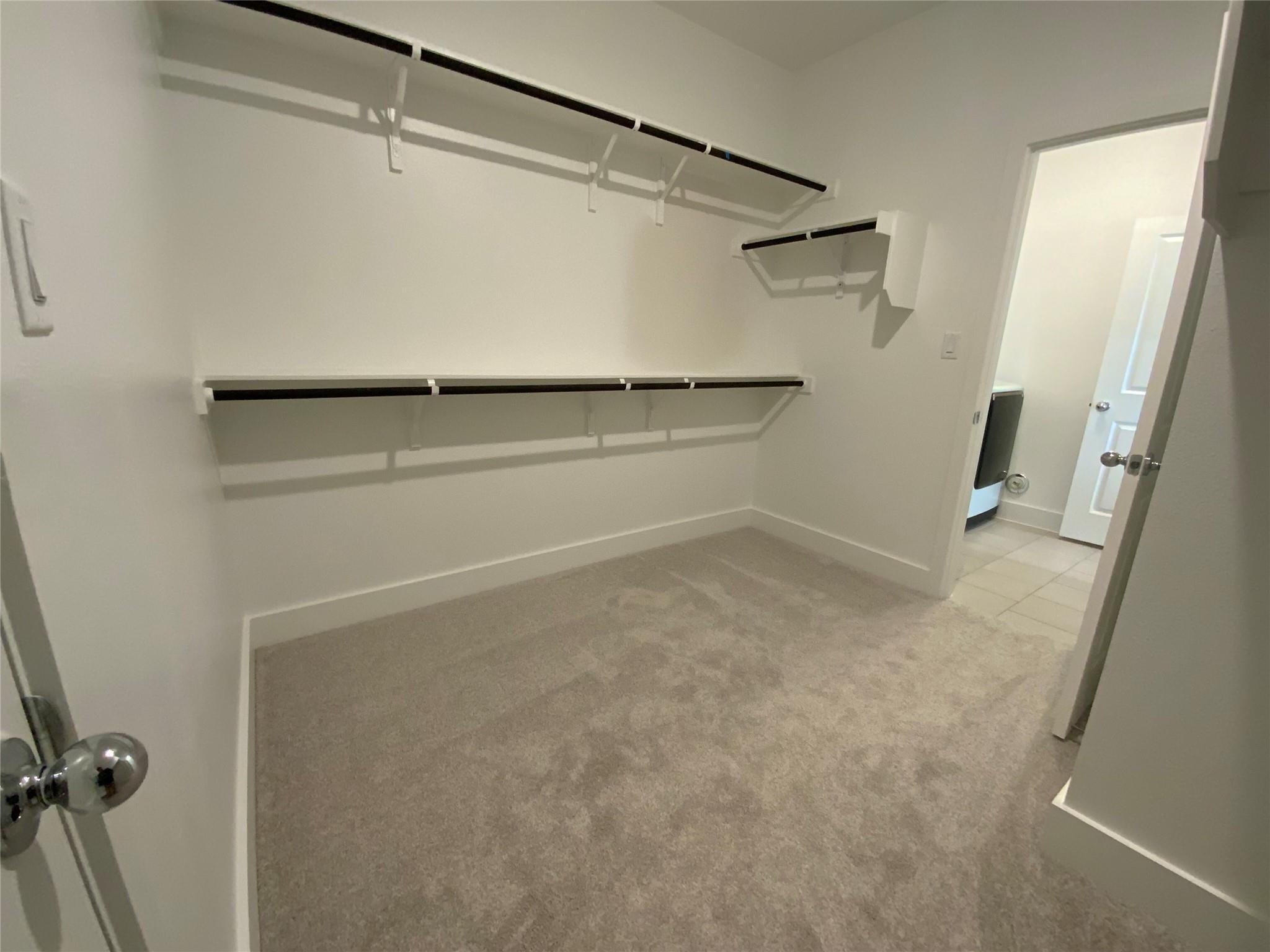 537 Bauer Loop Property Photo 13