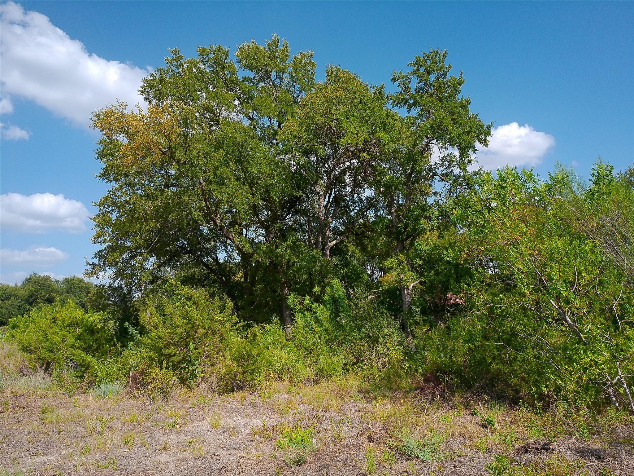 Lot 32 Serenity Dr Property Photo 2