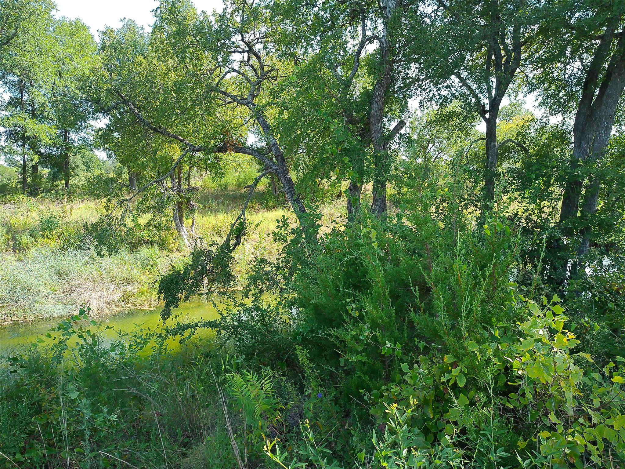 Lot 32 Serenity Dr Property Photo 6