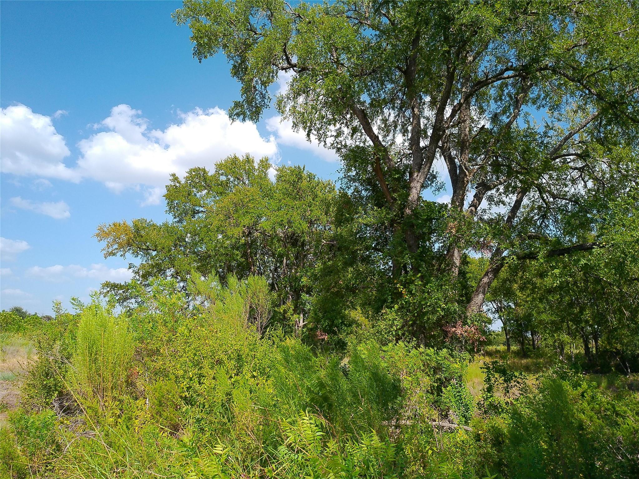 Lot 32 Serenity Dr Property Photo 8