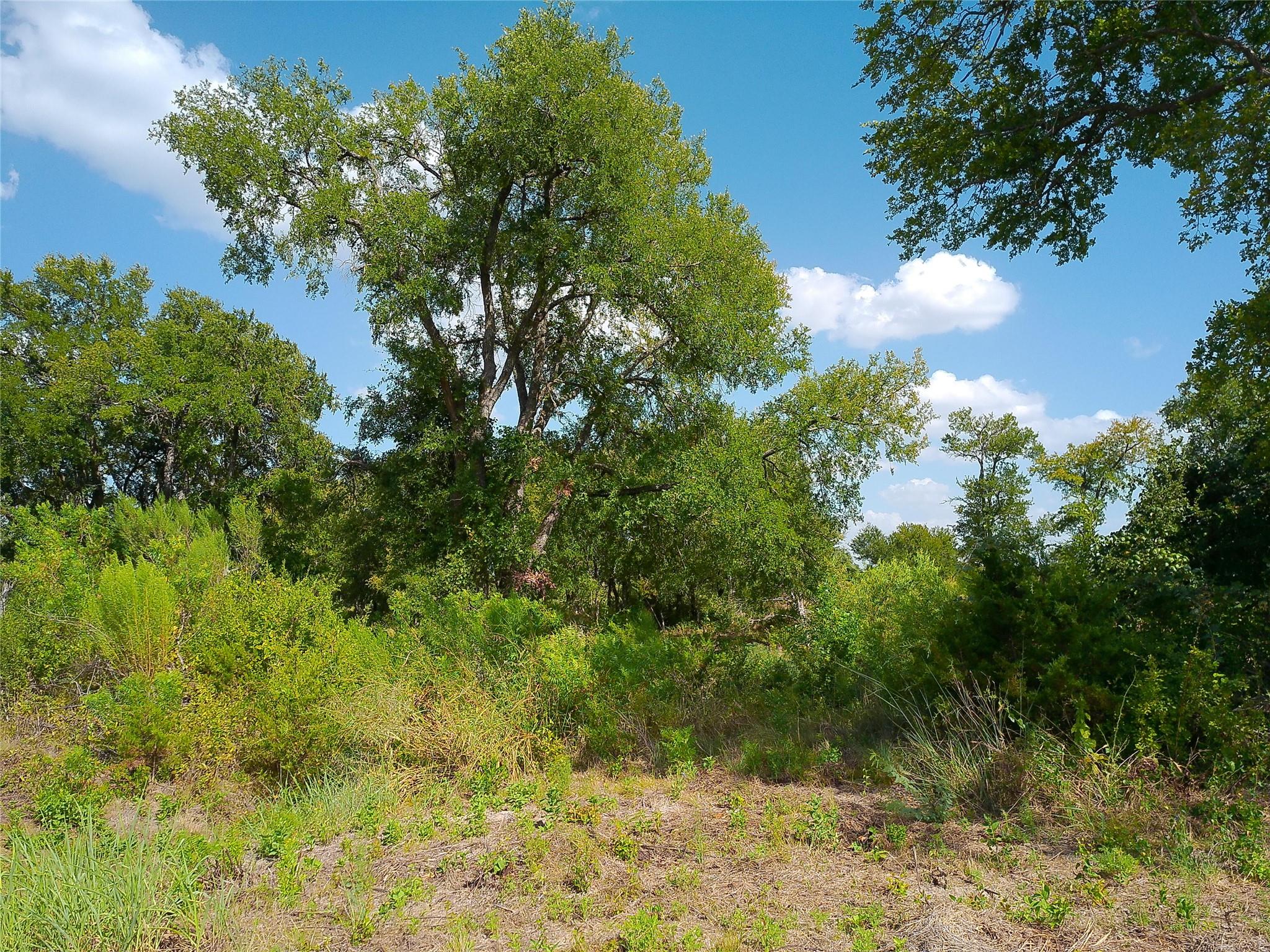 Lot 32 Serenity Dr Property Photo 13