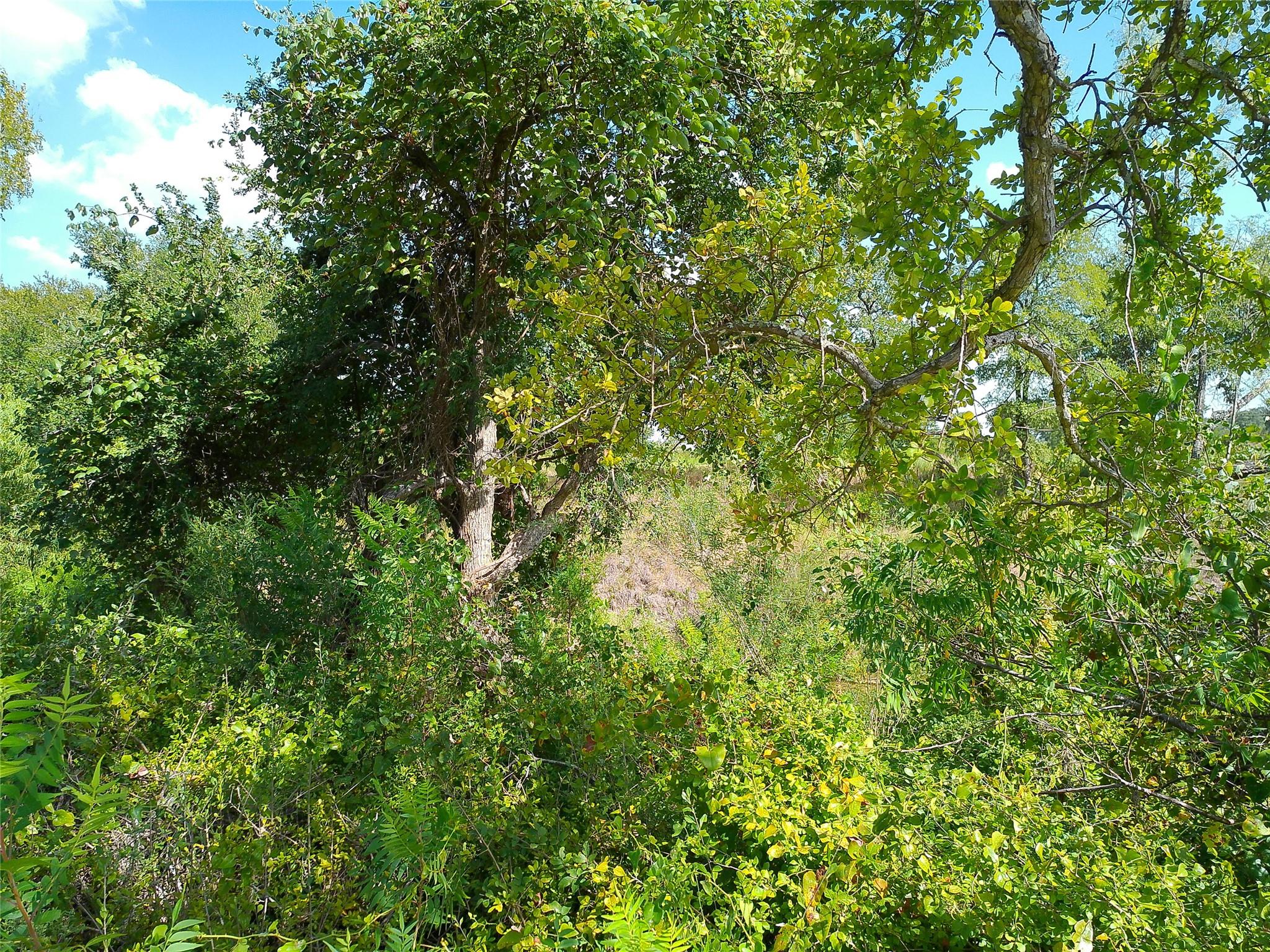 Lot 32 Serenity Dr Property Photo 15