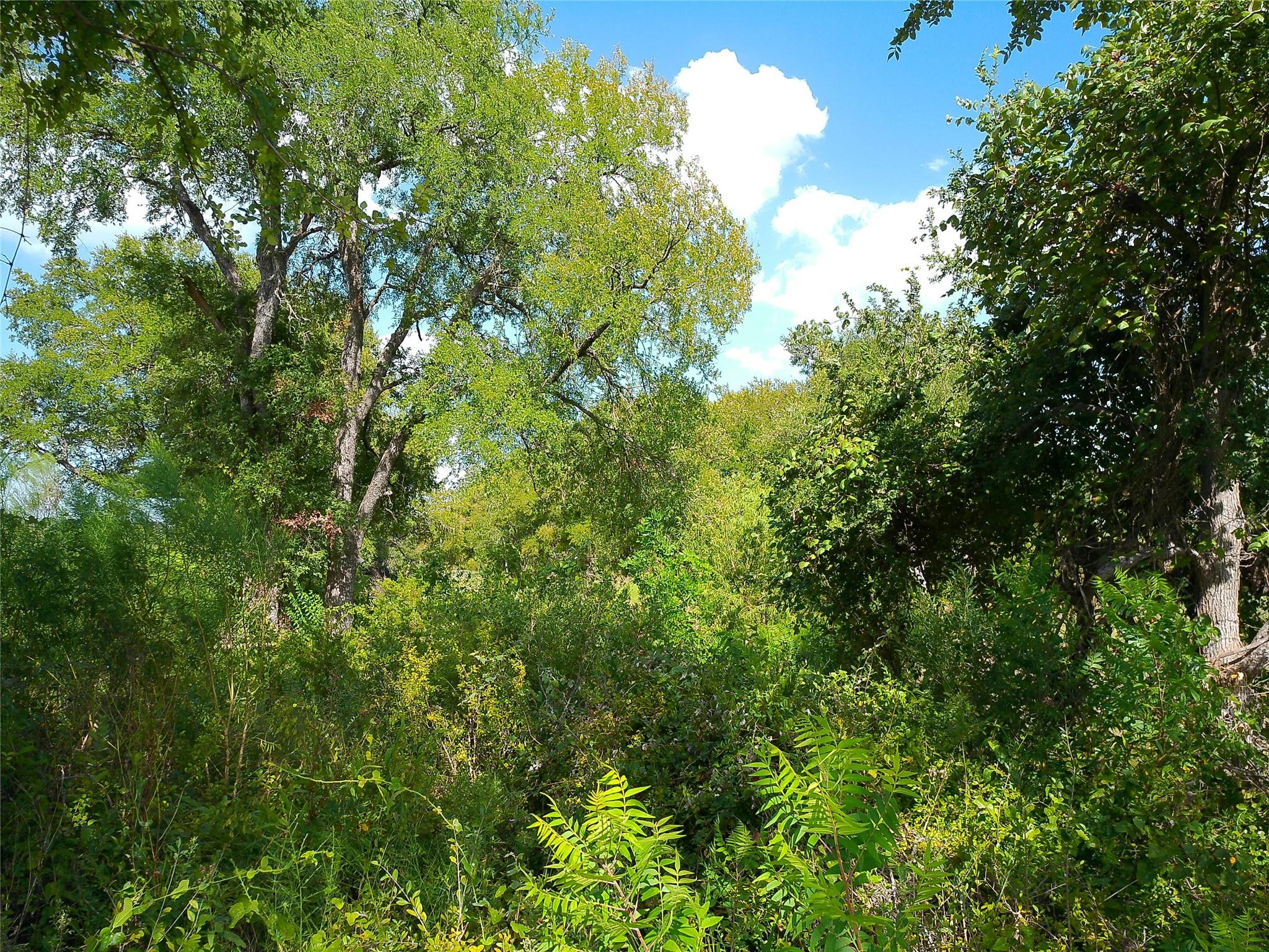 Lot 32 Serenity Dr Property Photo 16