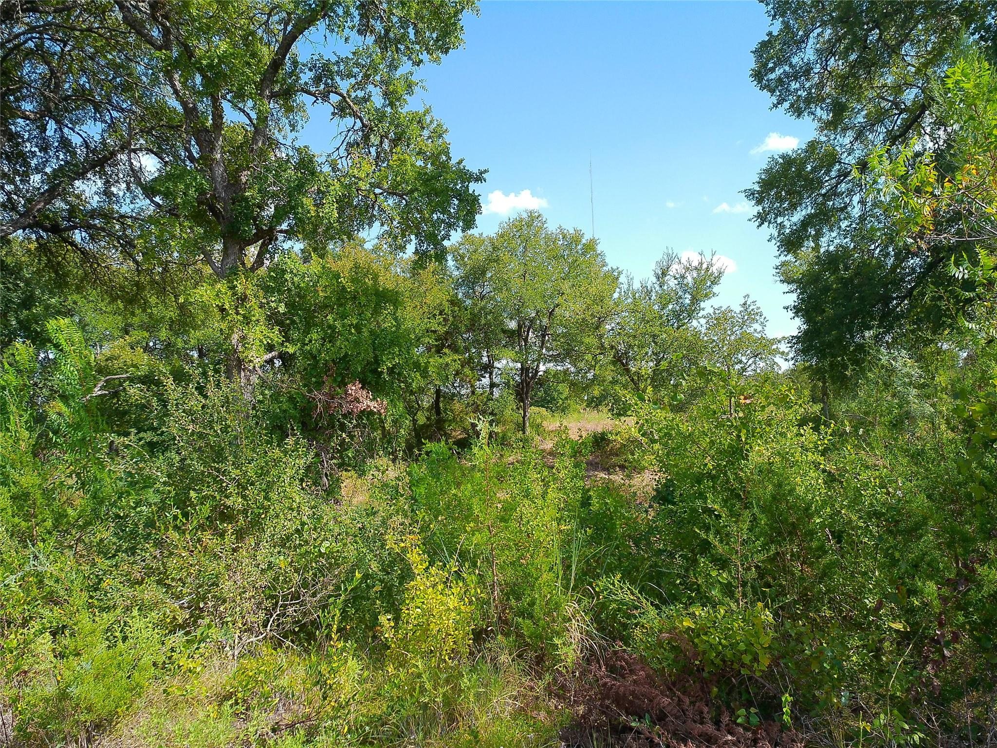 Lot 32 Serenity Dr Property Photo 17