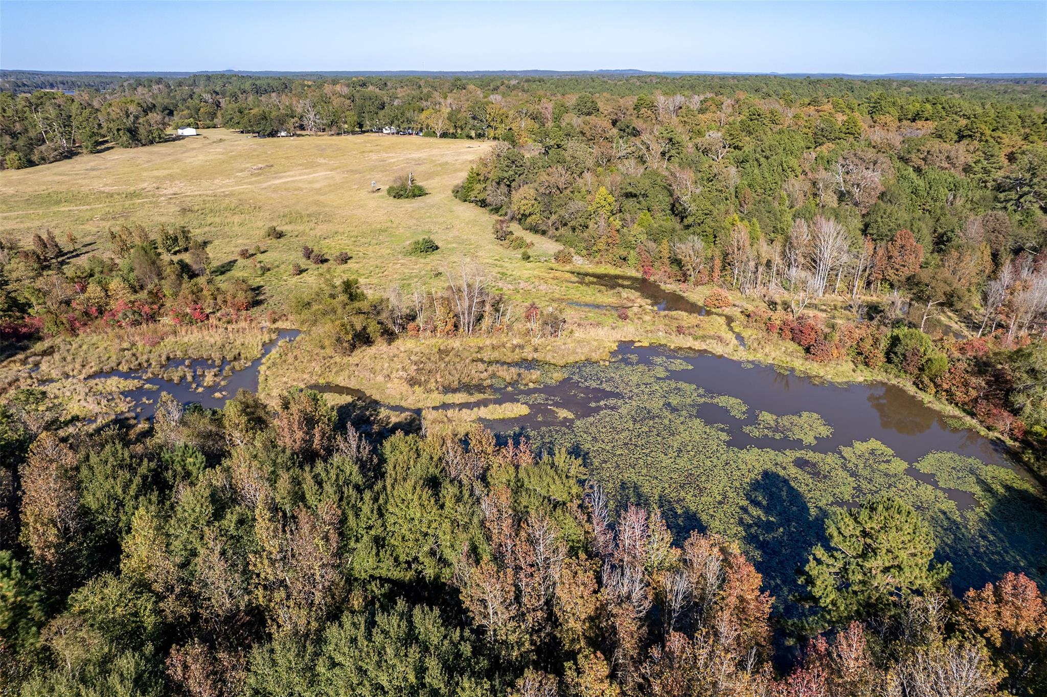 380 An County Road 370 None Property Photo 5