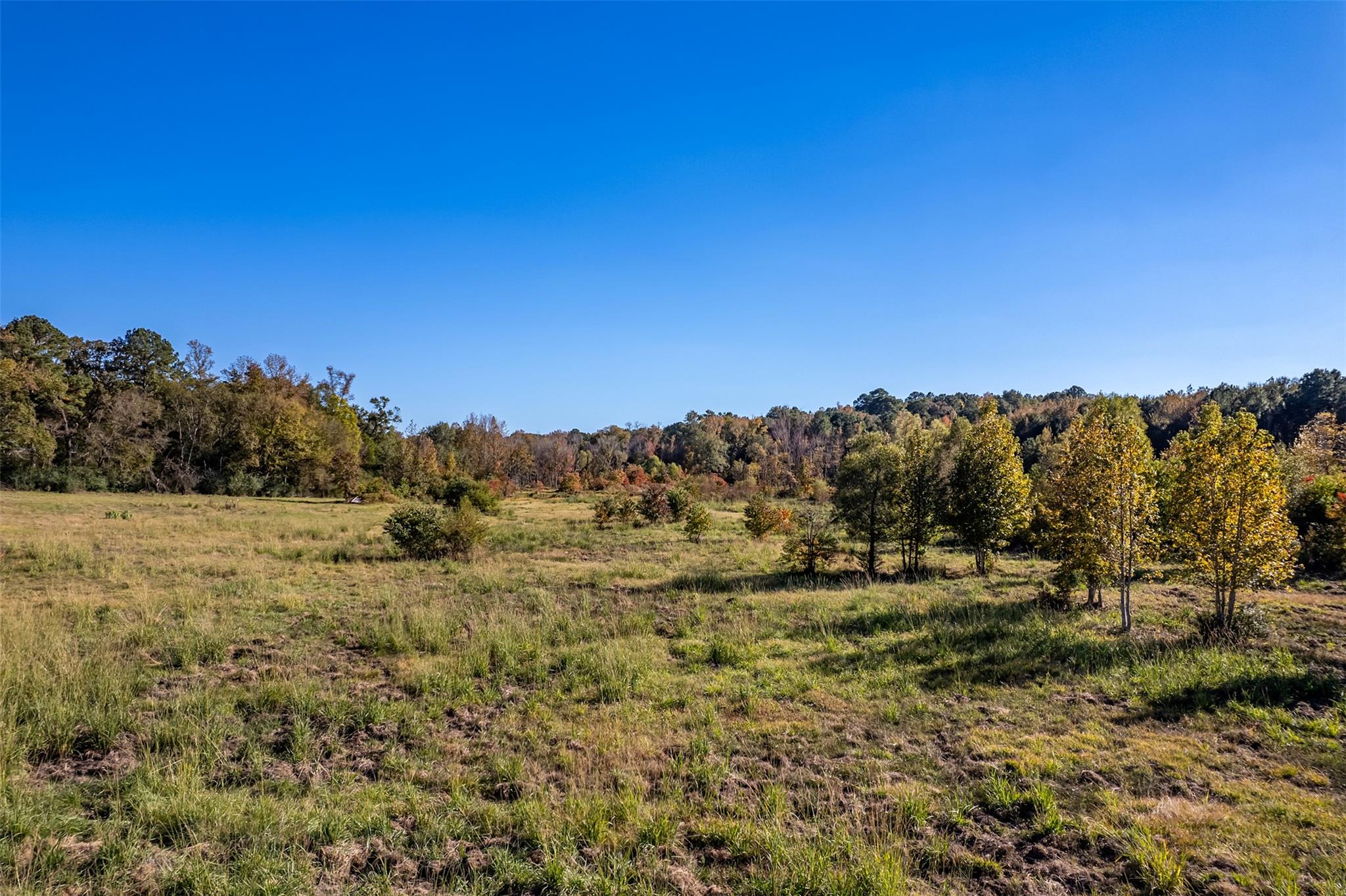 380 An County Road 370 None Property Photo 14
