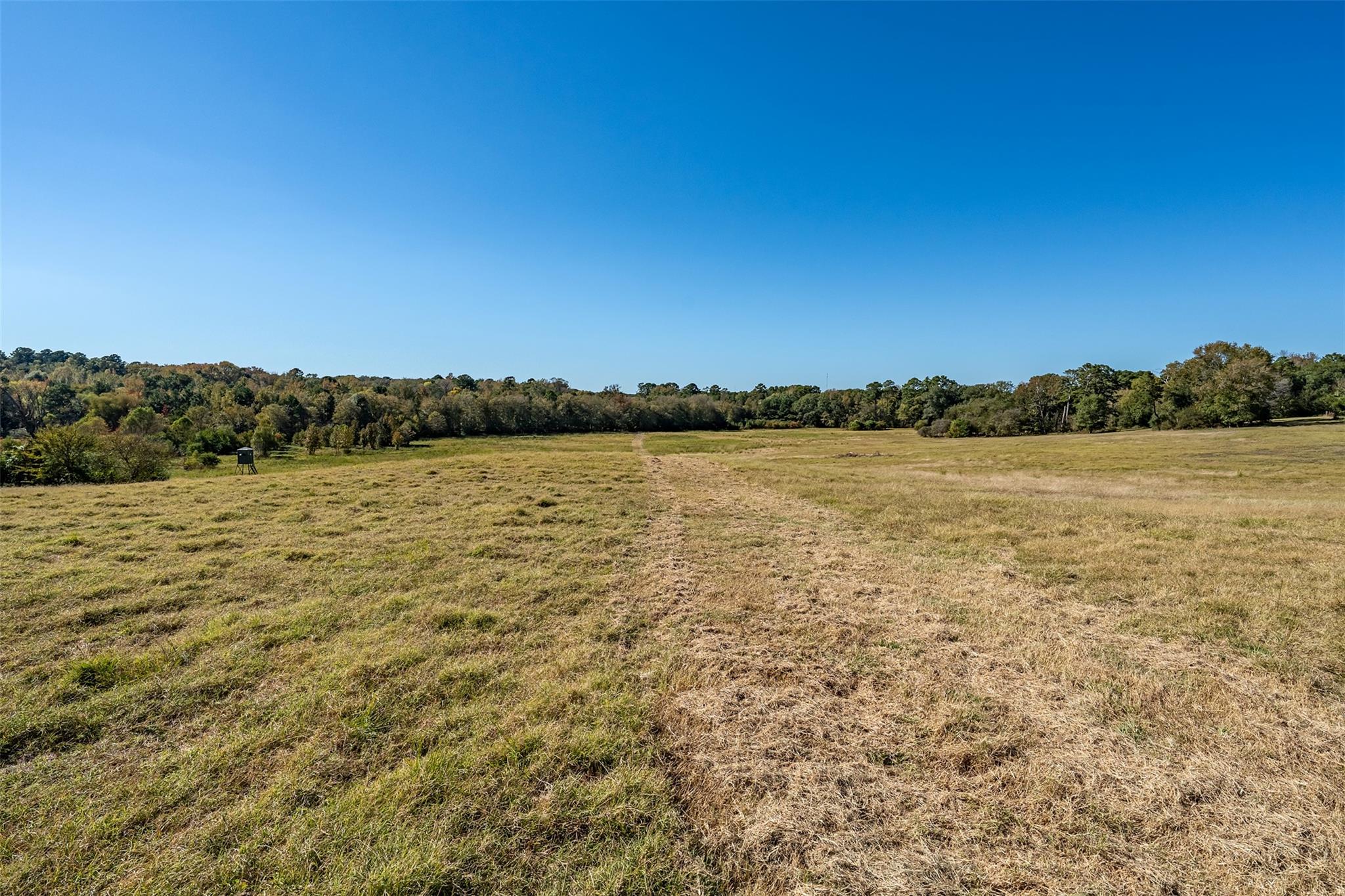 380 An County Road 370 None Property Photo 19