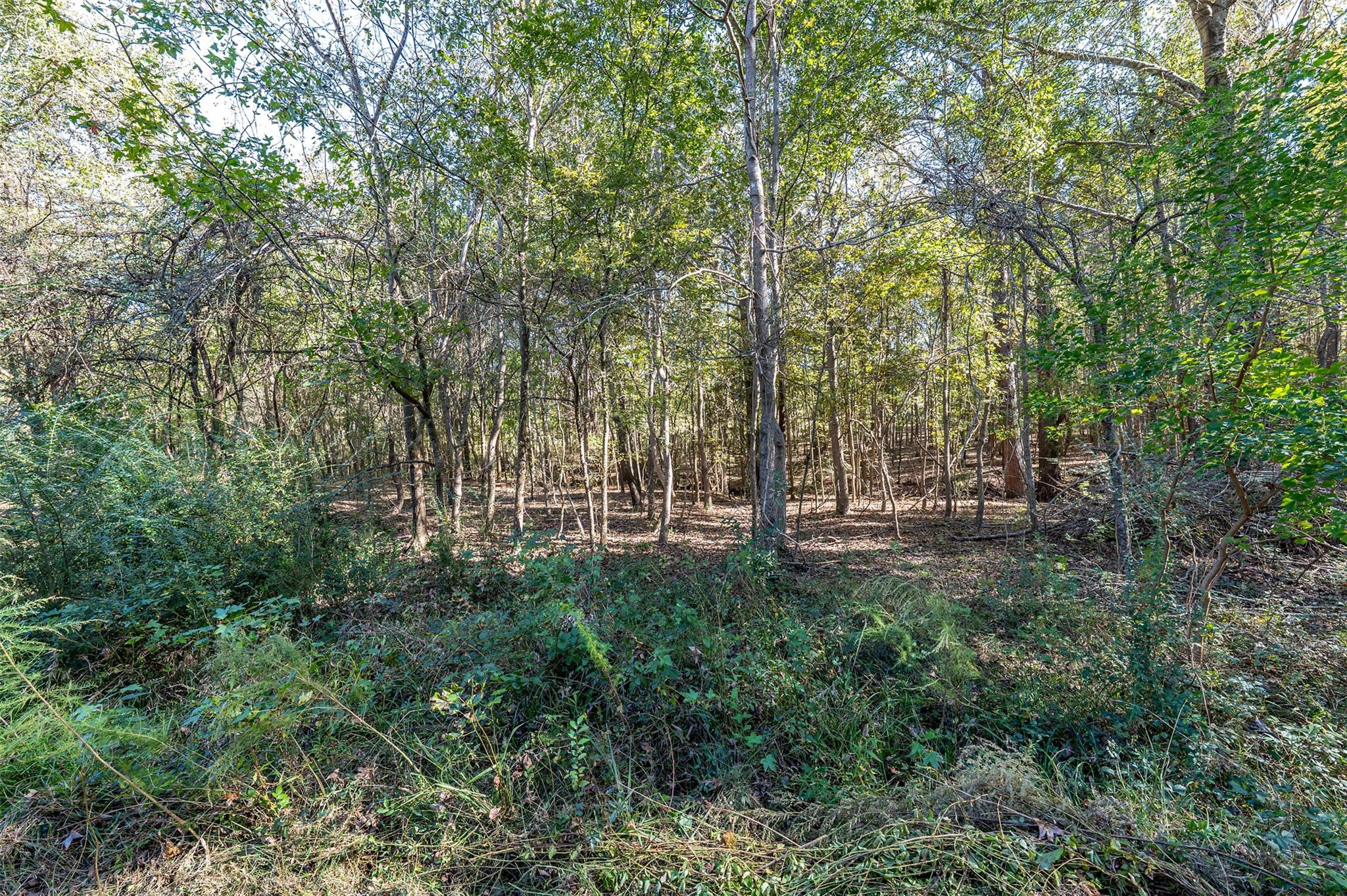 380 An County Road 370 None Property Photo 21
