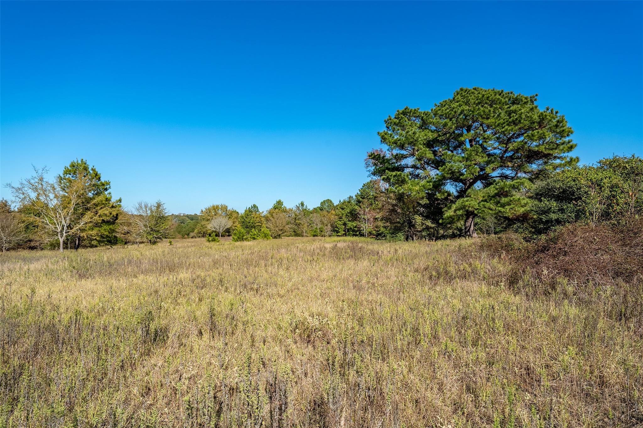 380 An County Road 370 None Property Photo 23