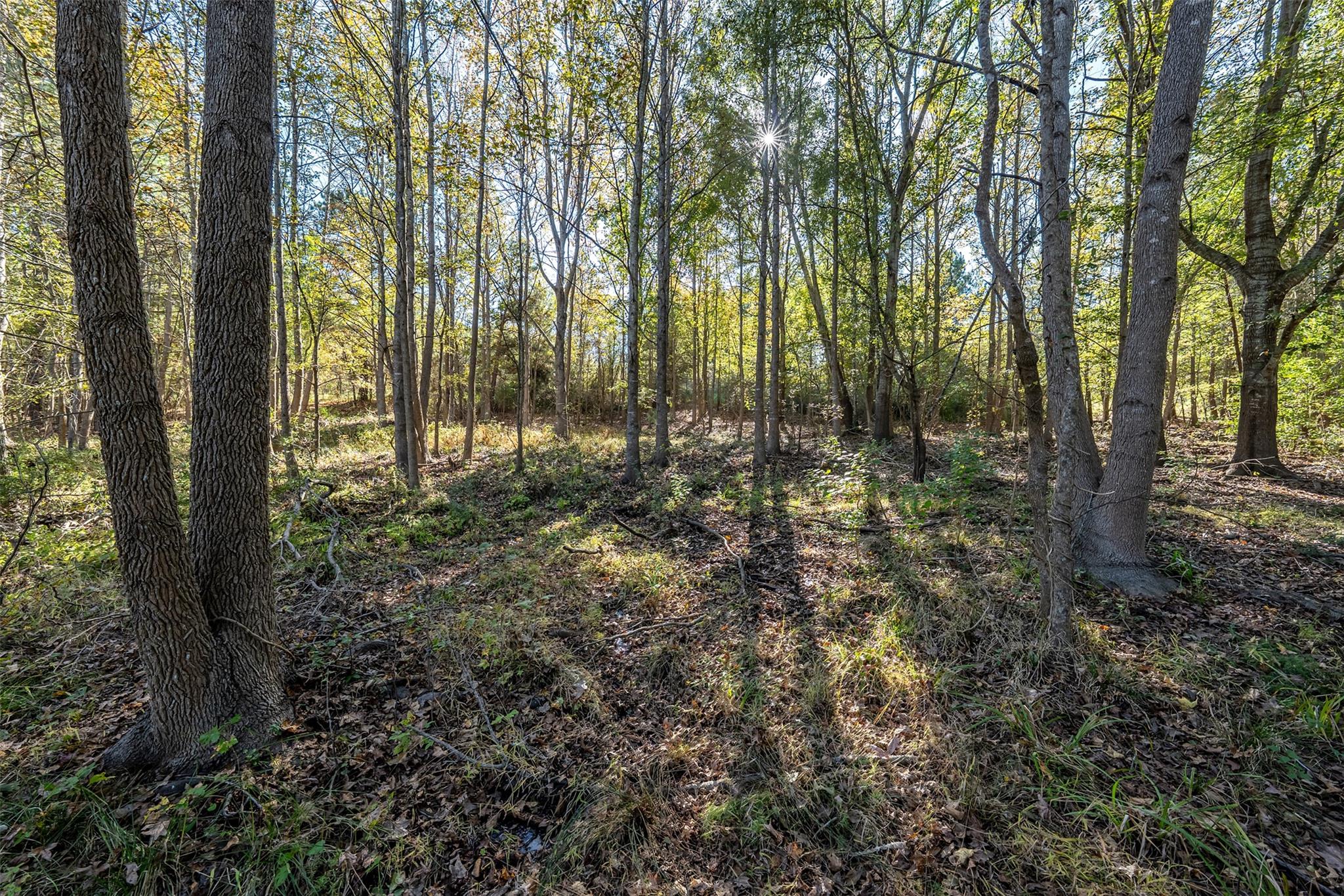 380 An County Road 370 None Property Photo 25