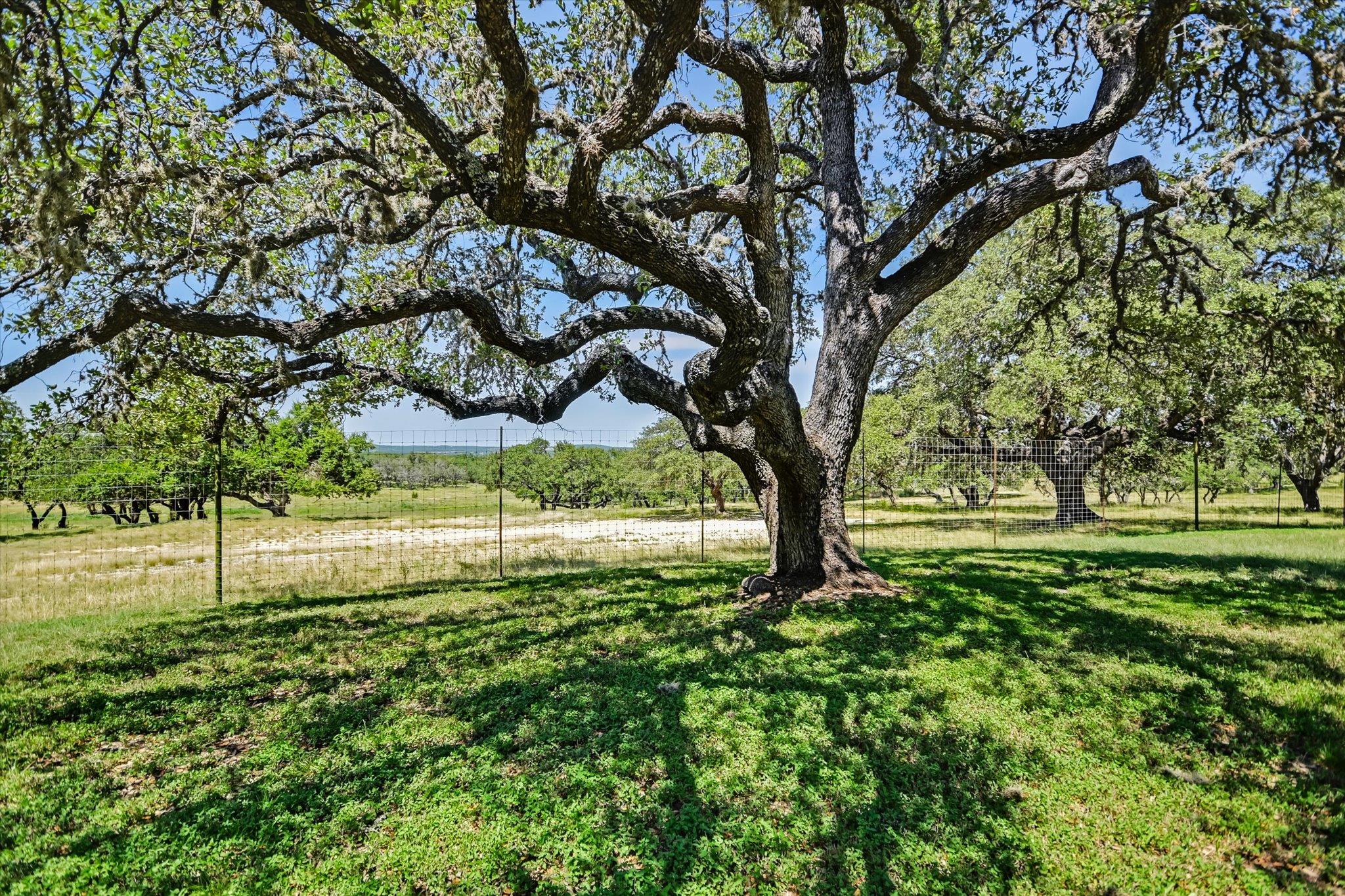 3900 Fm 2325 None Property Photo 2