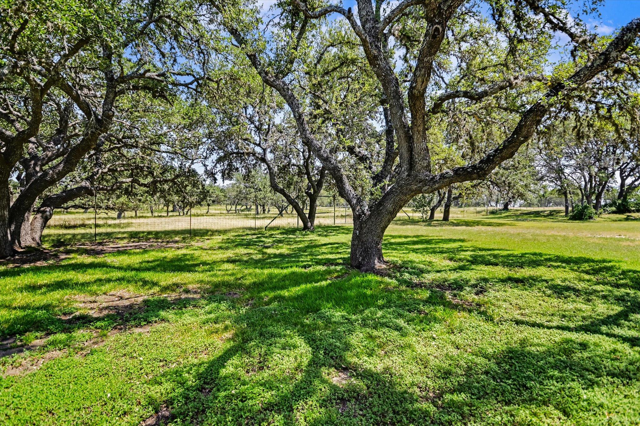 3900 Fm 2325 None Property Photo 28