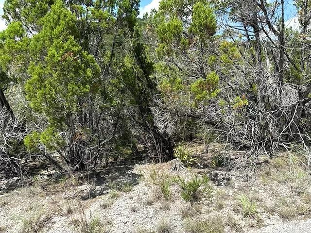 21404 Westward Ho Pass Property Photo 1
