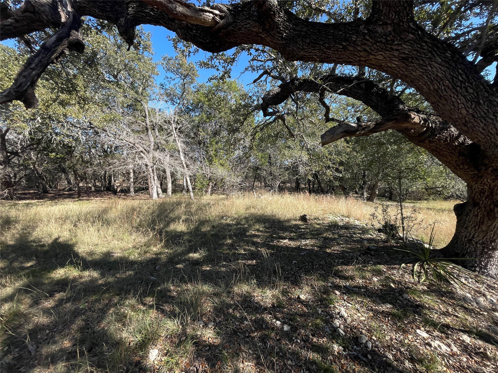 Tbd Carney Ln Property Photo 1