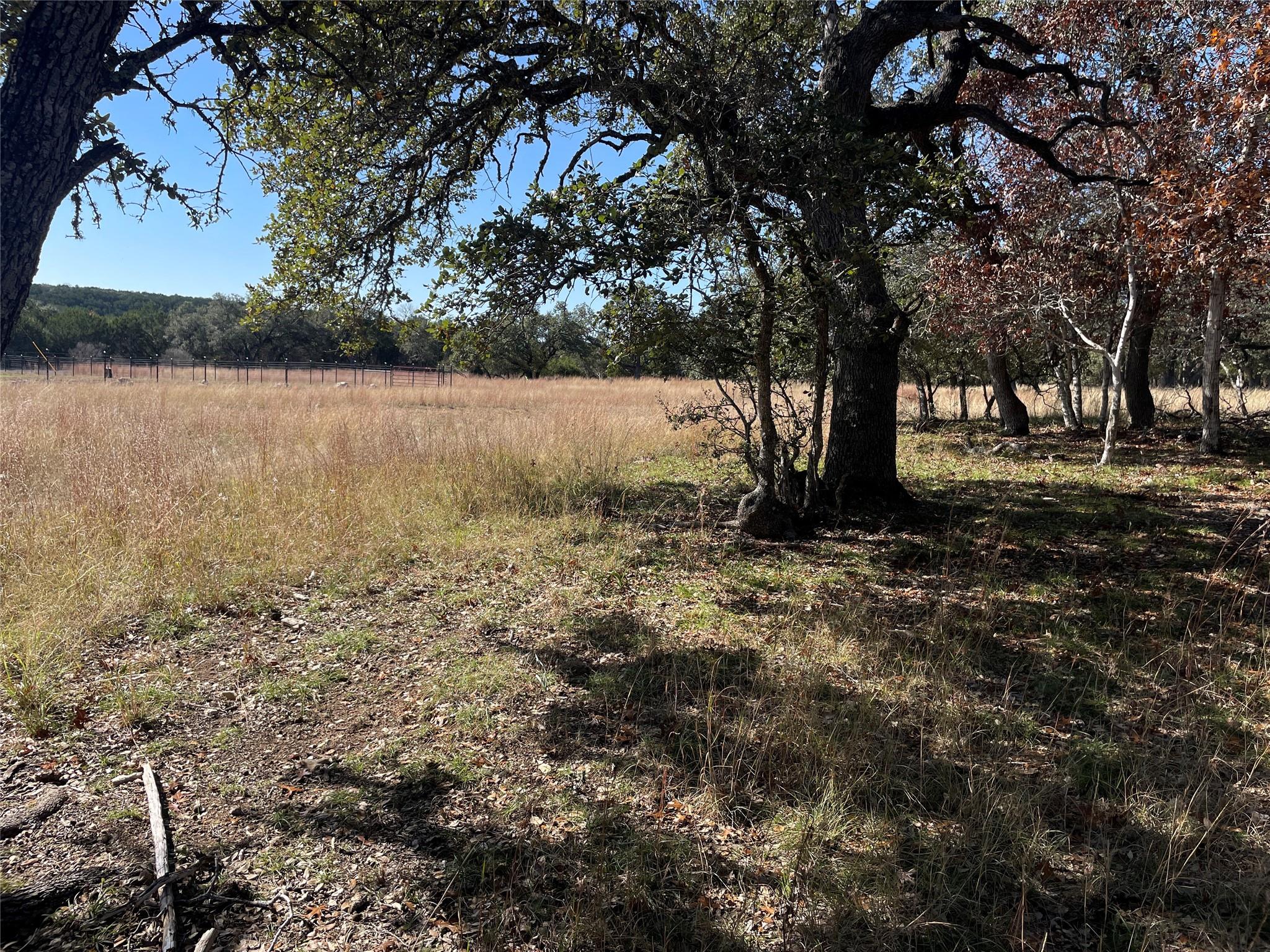 Tbd Carney Ln Property Photo 4