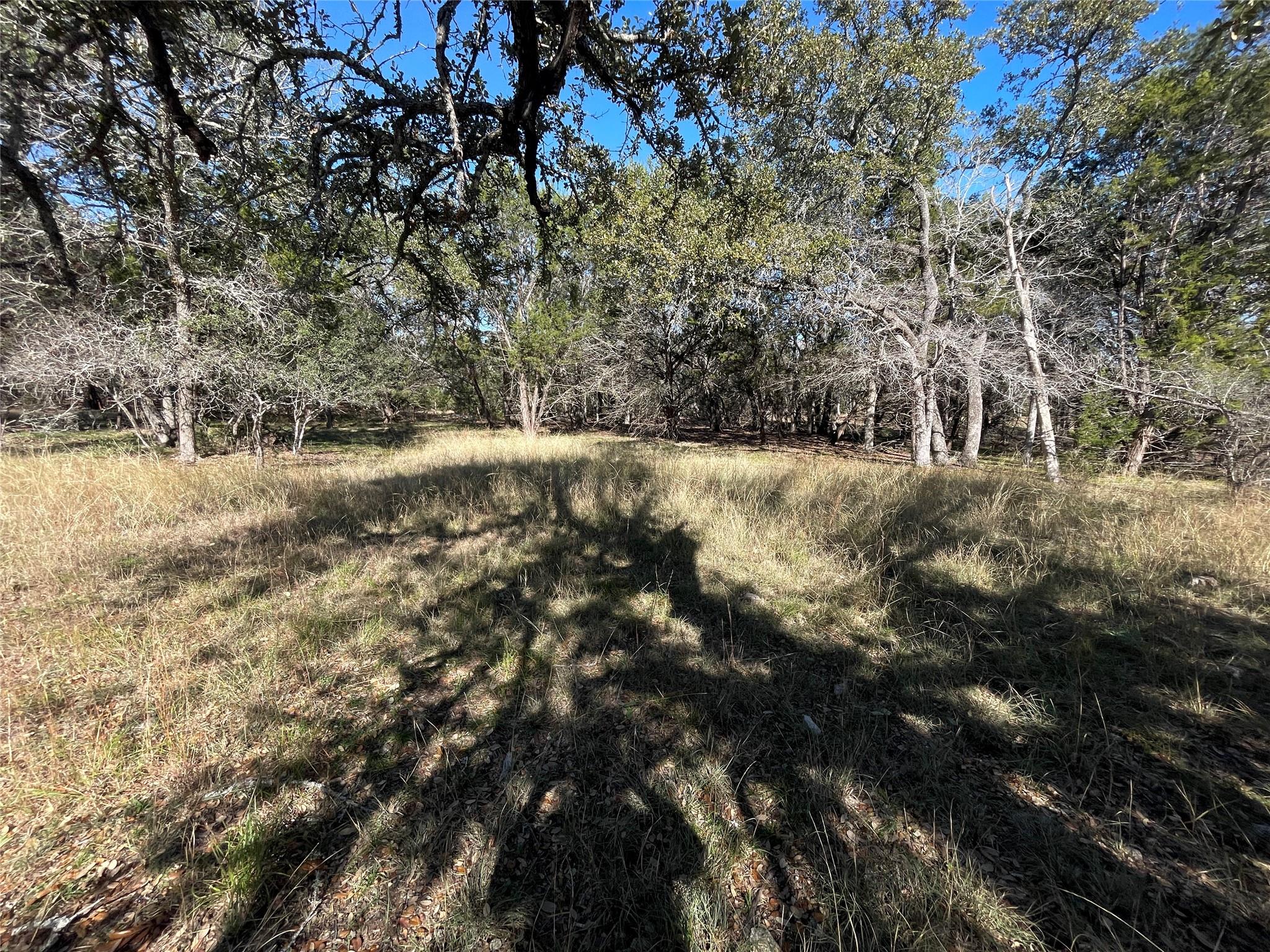Tbd Carney Ln Property Photo 6