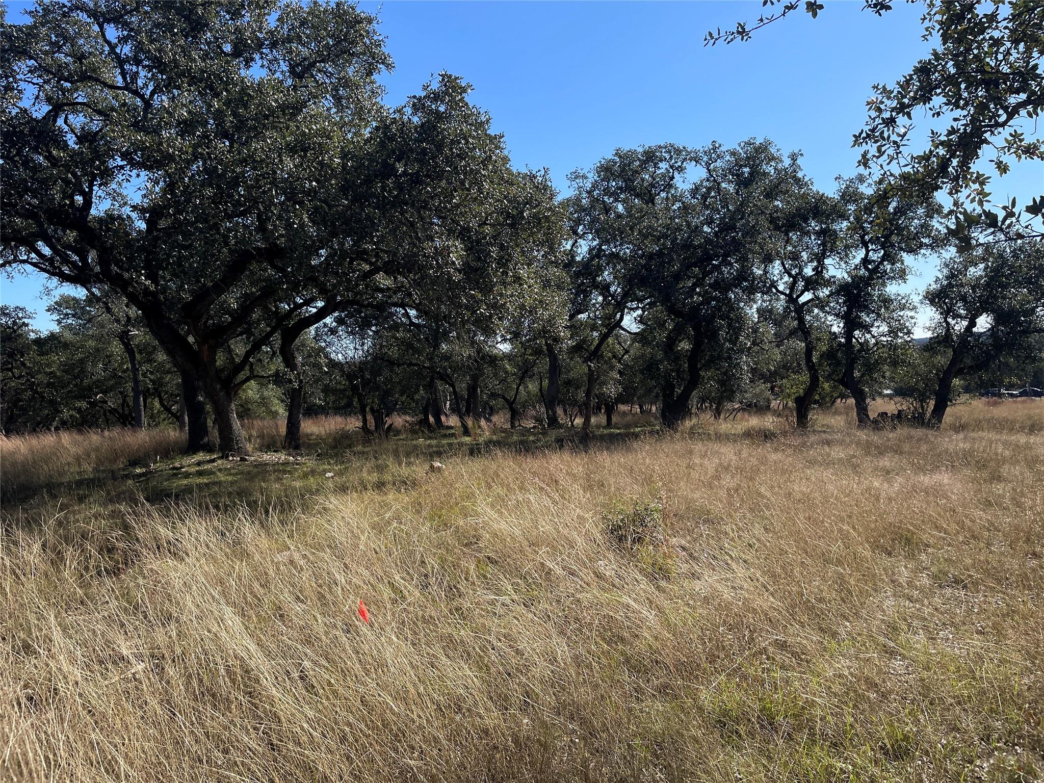 Tbd Carney Ln Property Photo 15