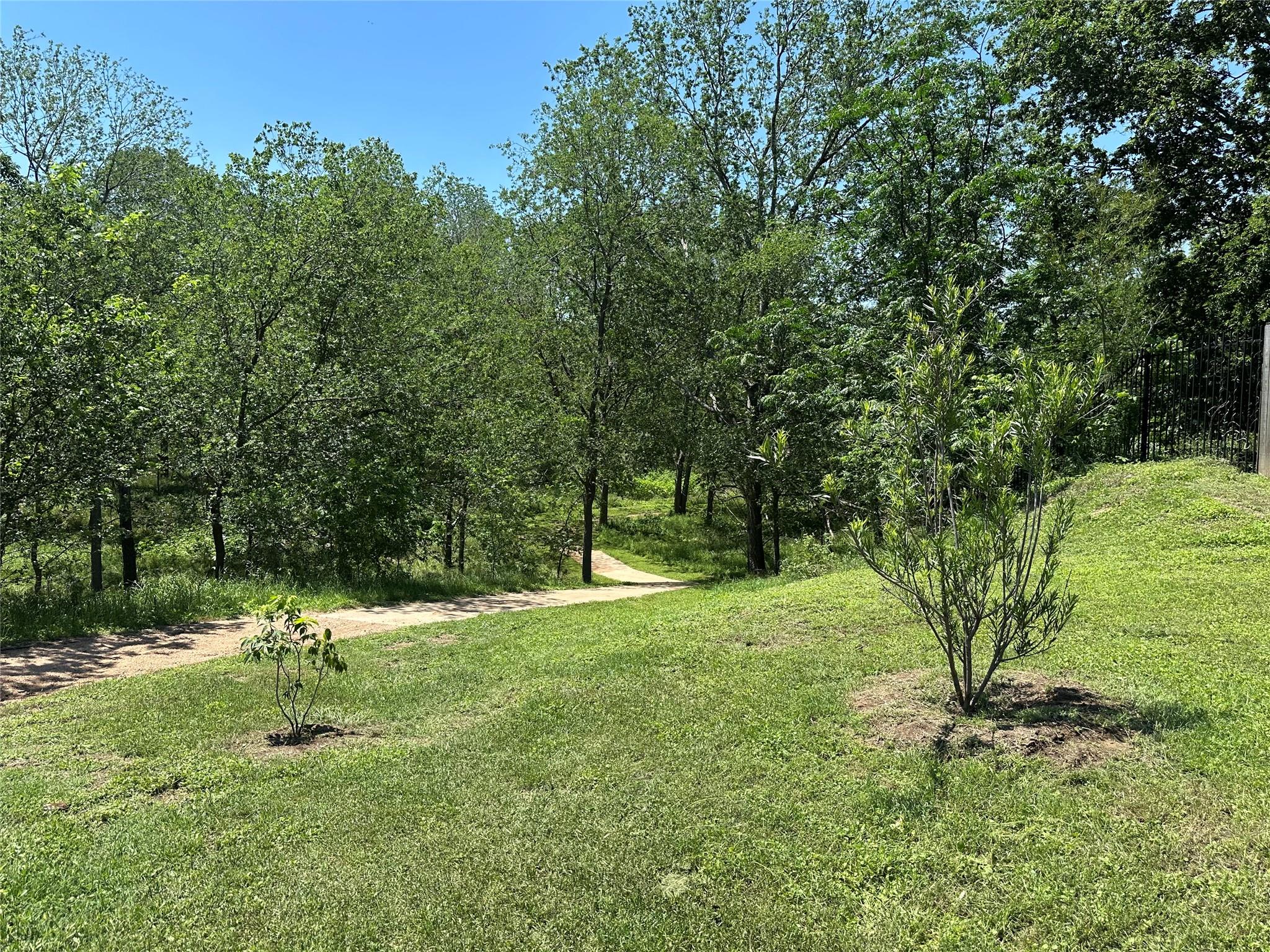2404 Spanish Camp Cv Property Photo 33