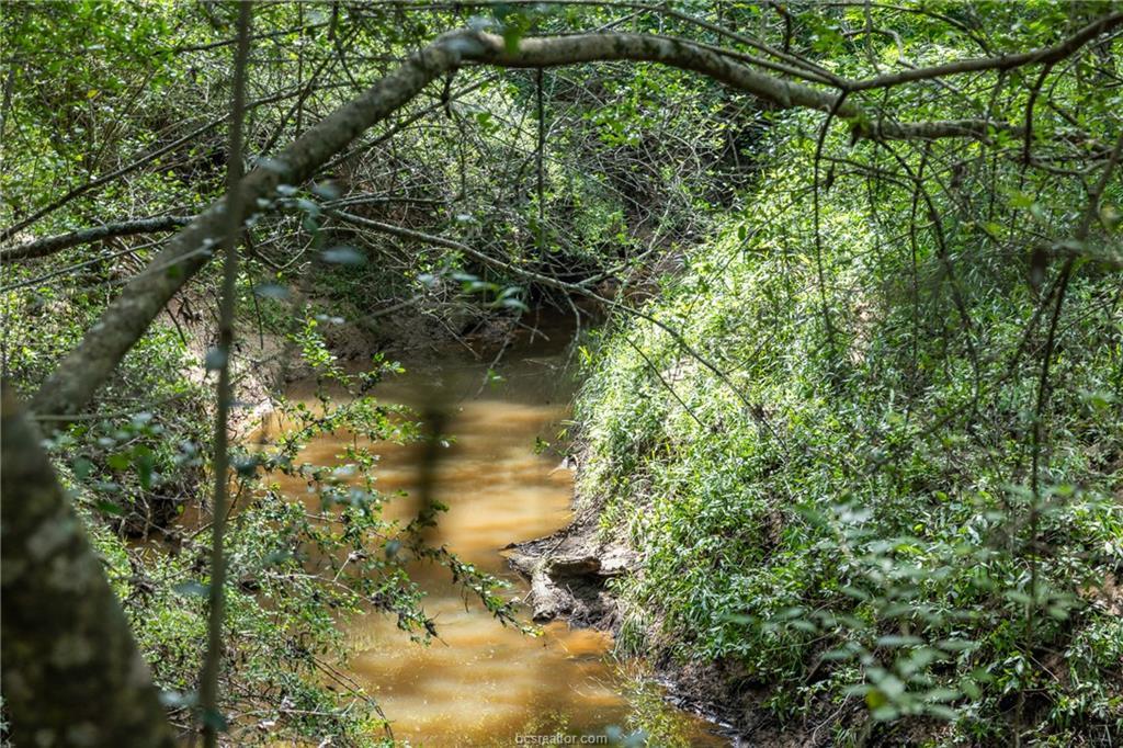 Tbd Weber Rd Property Photo 4