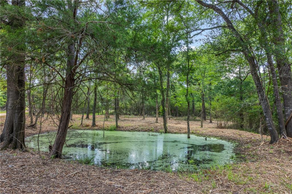 Tbd Weber Rd Property Photo 5