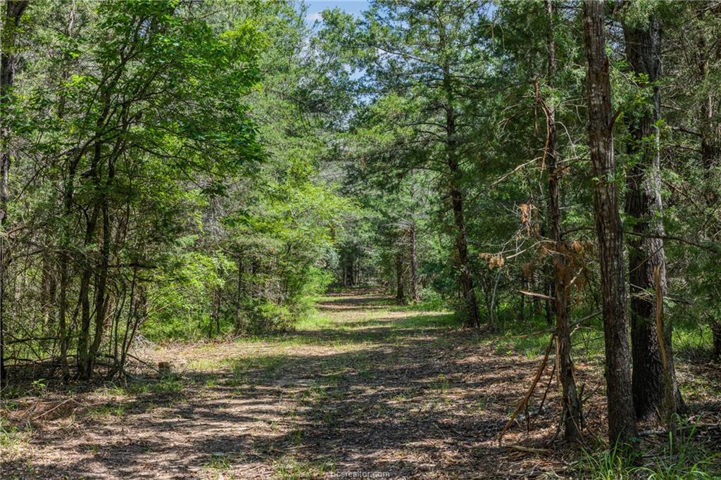 Tbd Weber Rd Property Photo 6