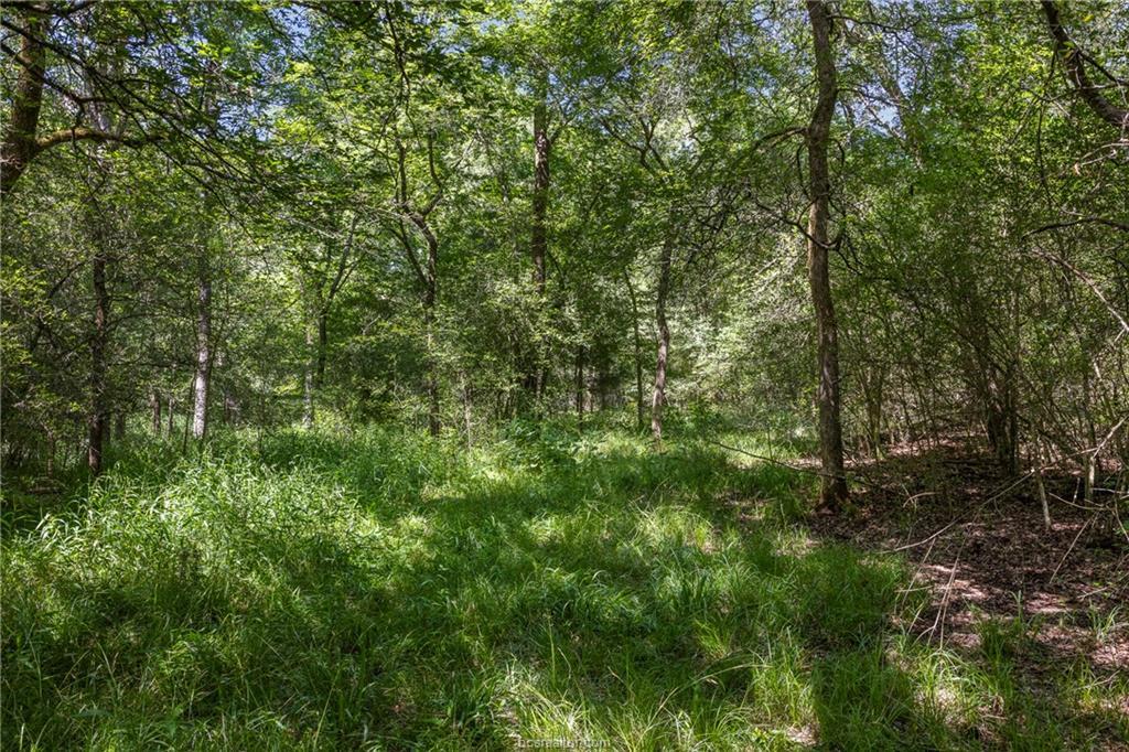 Tbd Weber Rd Property Photo 7