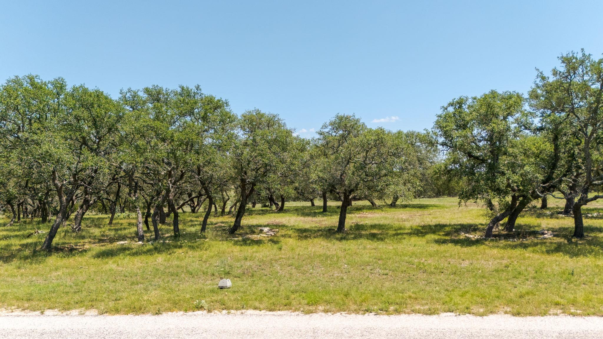 Lot 125 Red Stag Ct Property Photo 4