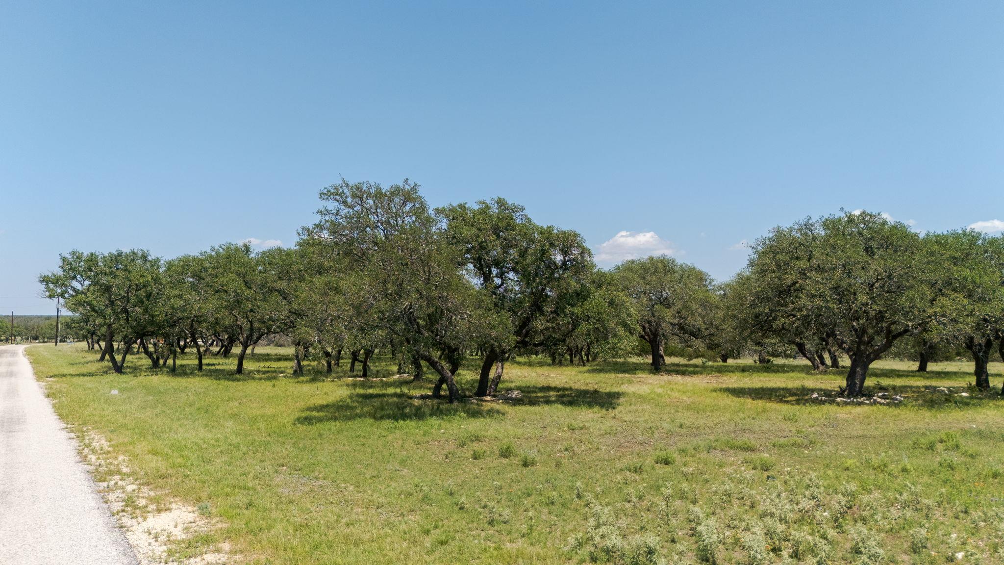 Lot 125 Red Stag Ct Property Photo 6