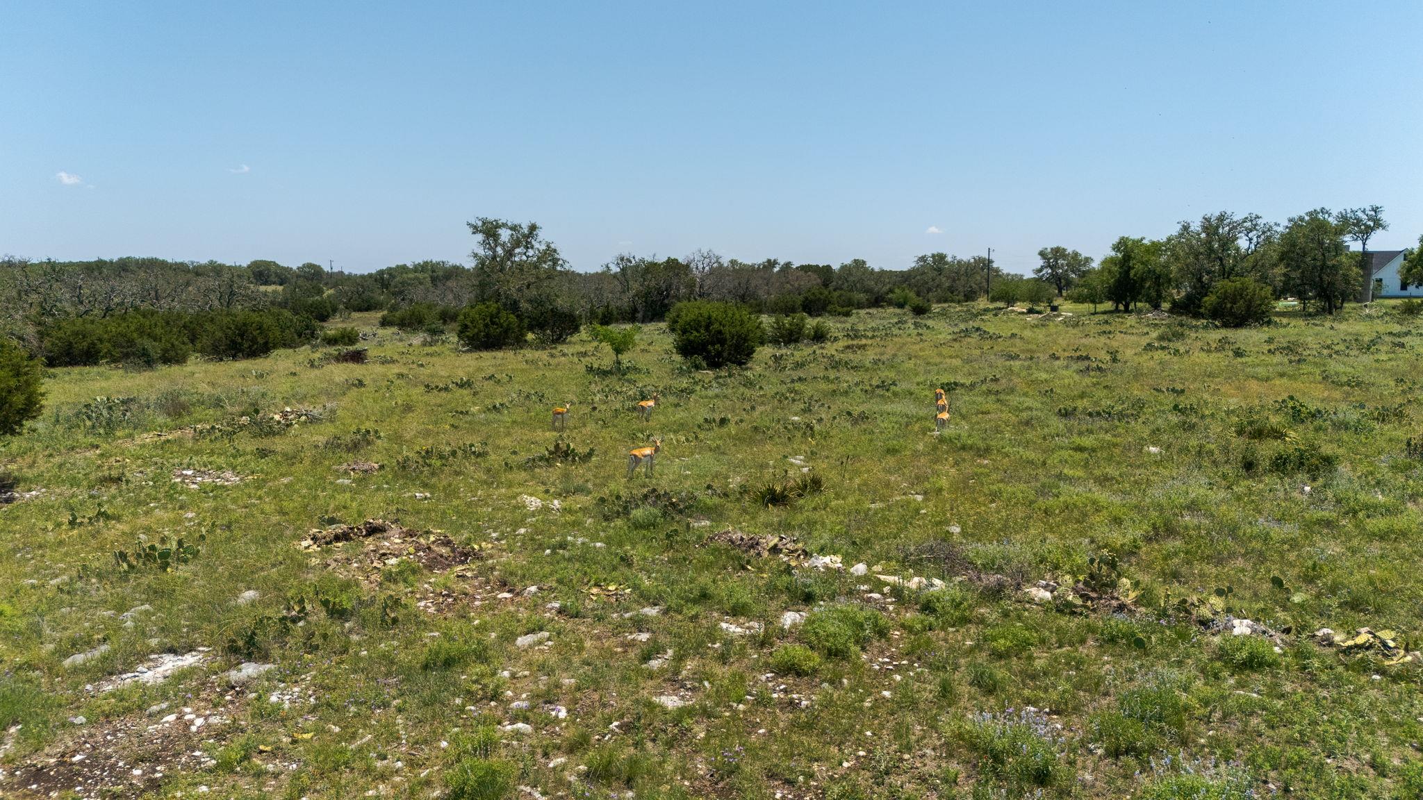 Lot 125 Red Stag Ct Property Photo 10