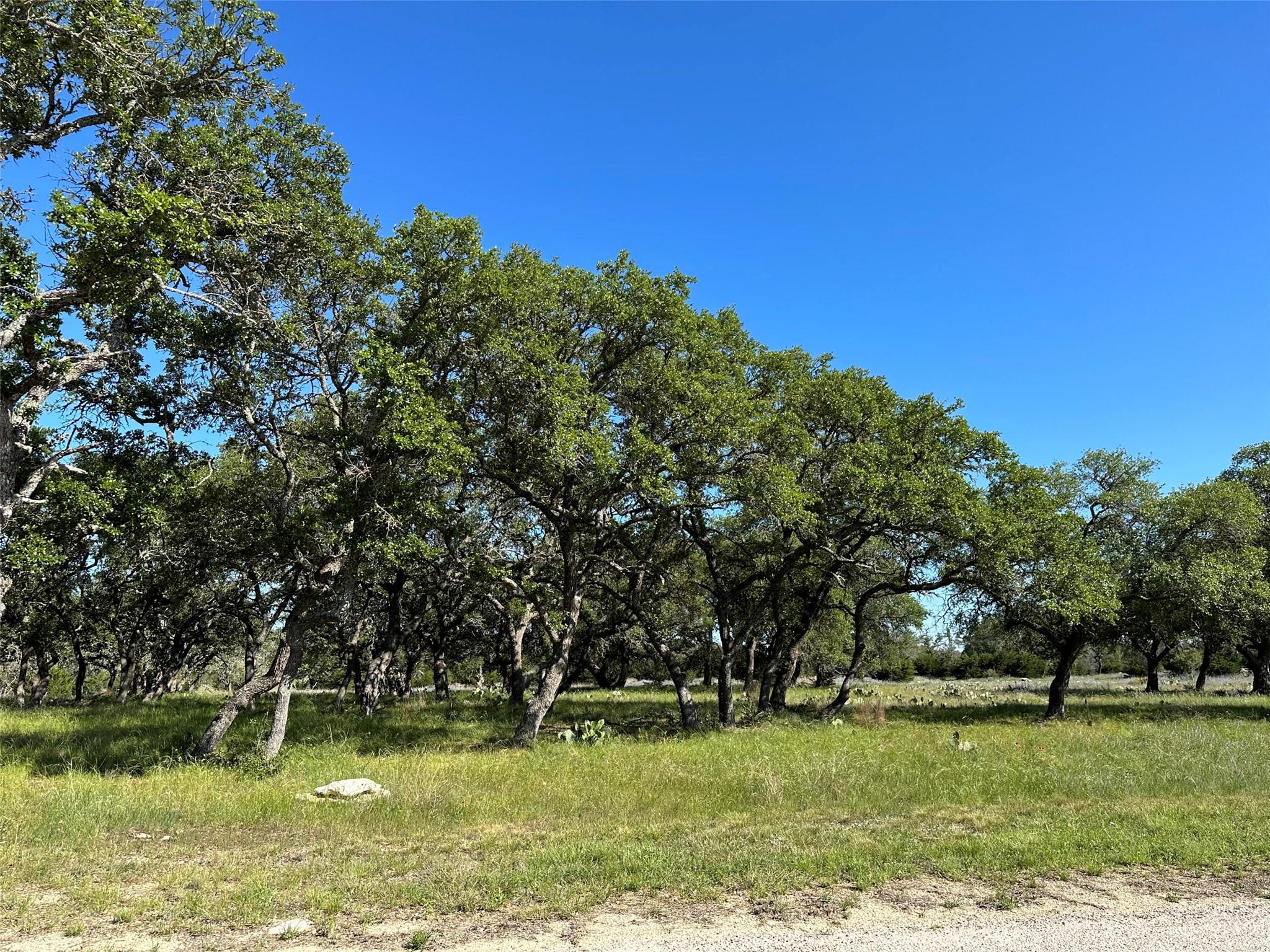 Lot 125 Red Stag Ct Property Photo 16